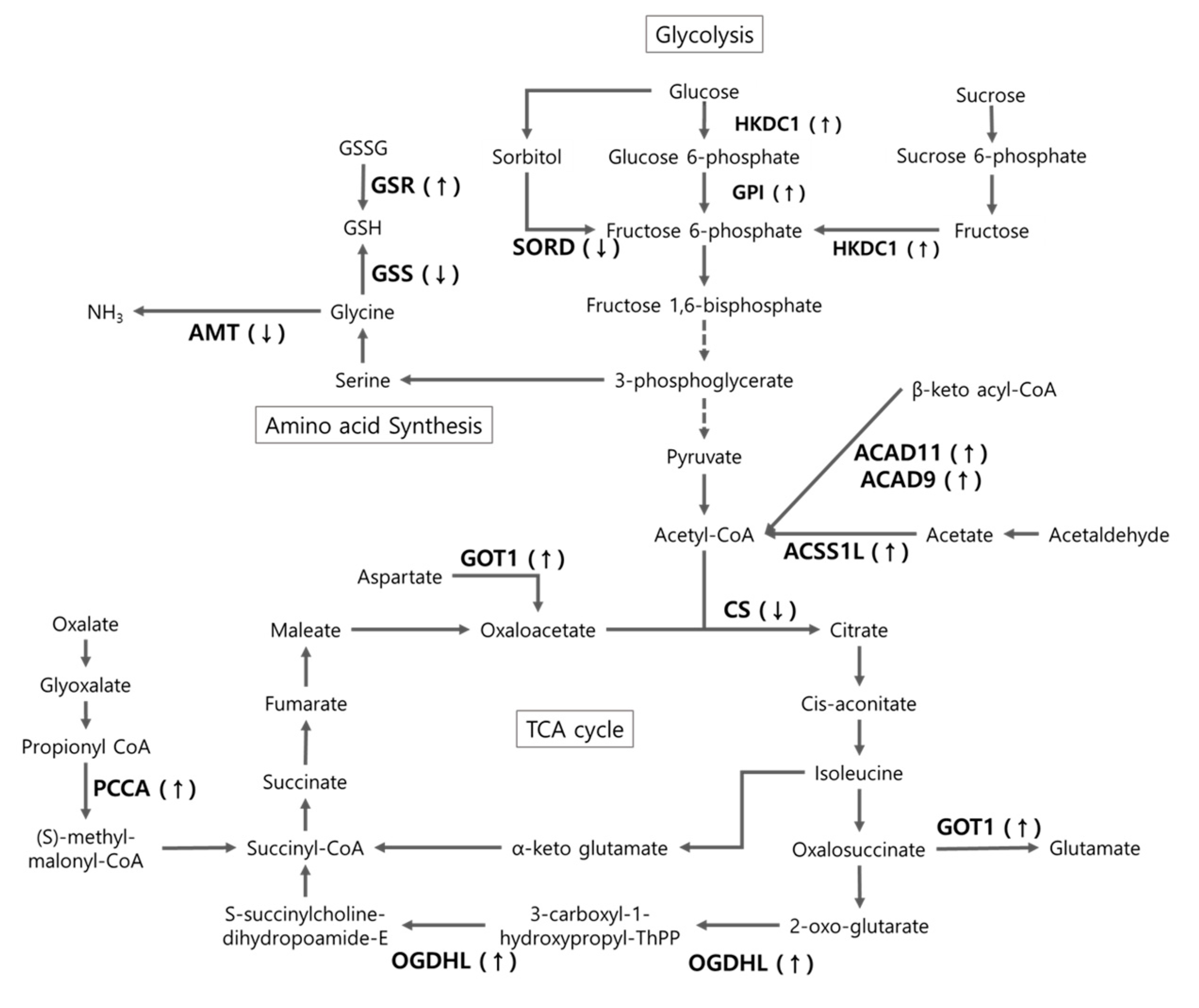 Animals 10 02365 g005