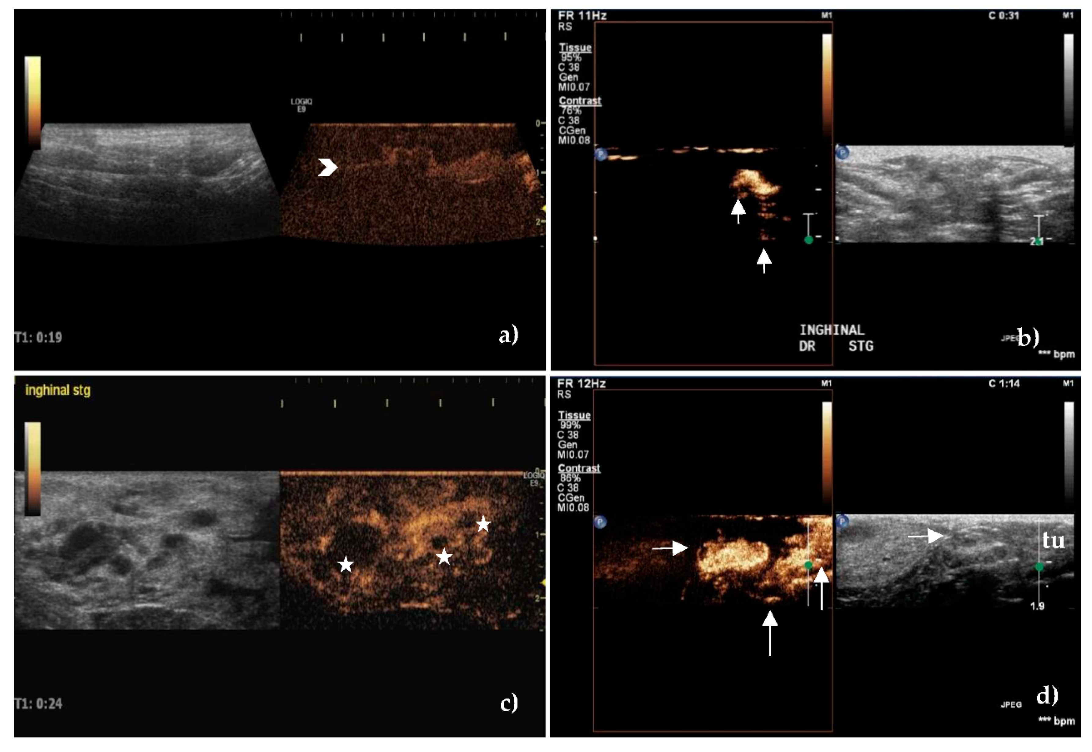 Animals 10 02366 g004