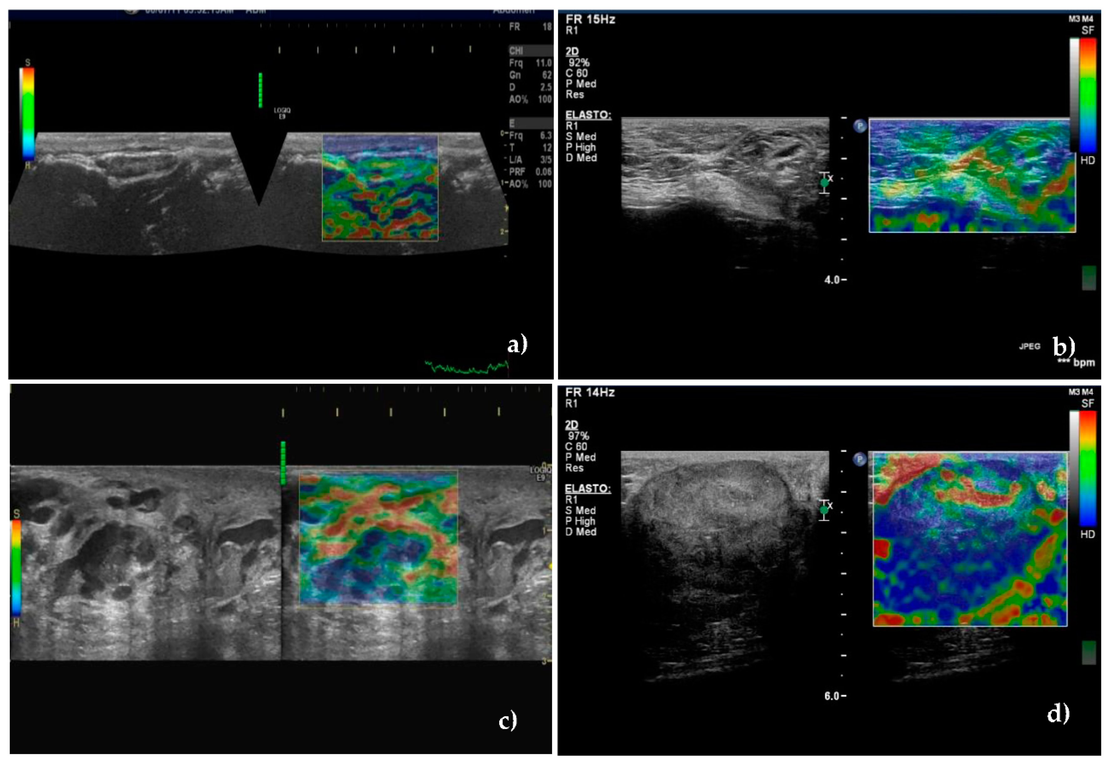 Animals 10 02366 g005