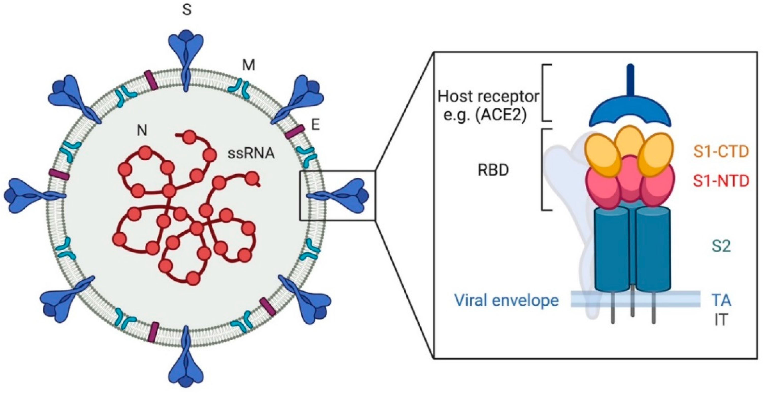 Animals 10 02377 sch002