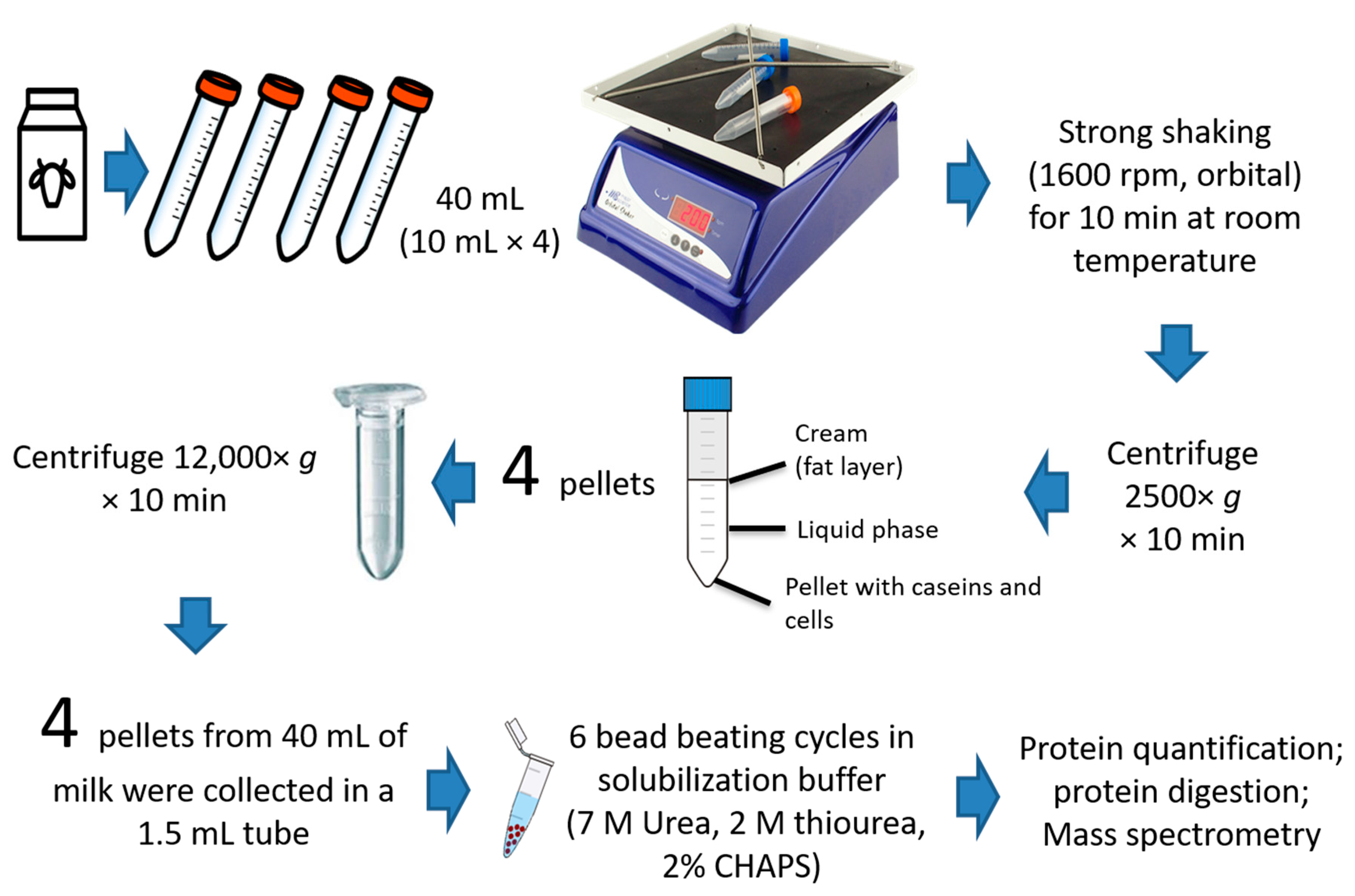 Animals 10 02378 g001