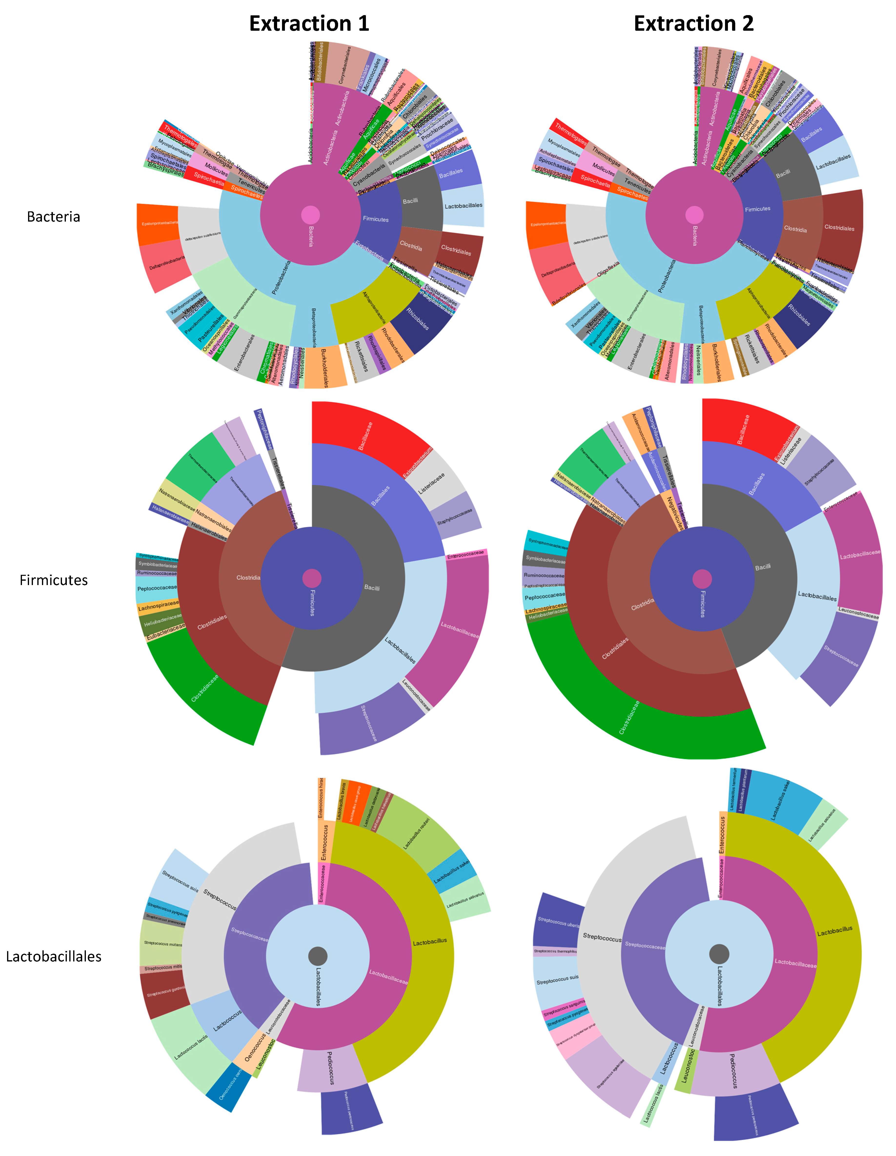 Animals 10 02378 g002