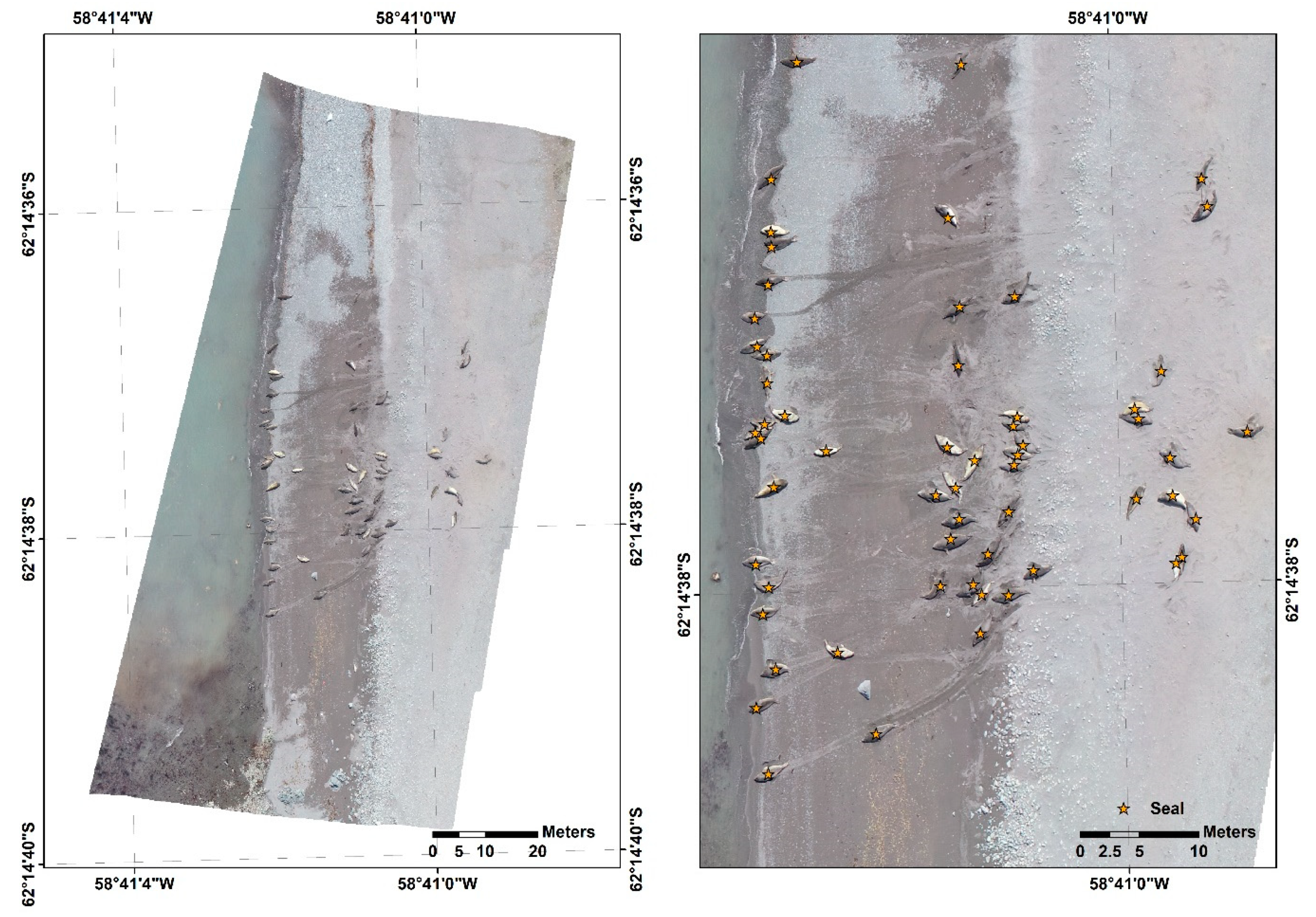 Animals 10 02387 g003