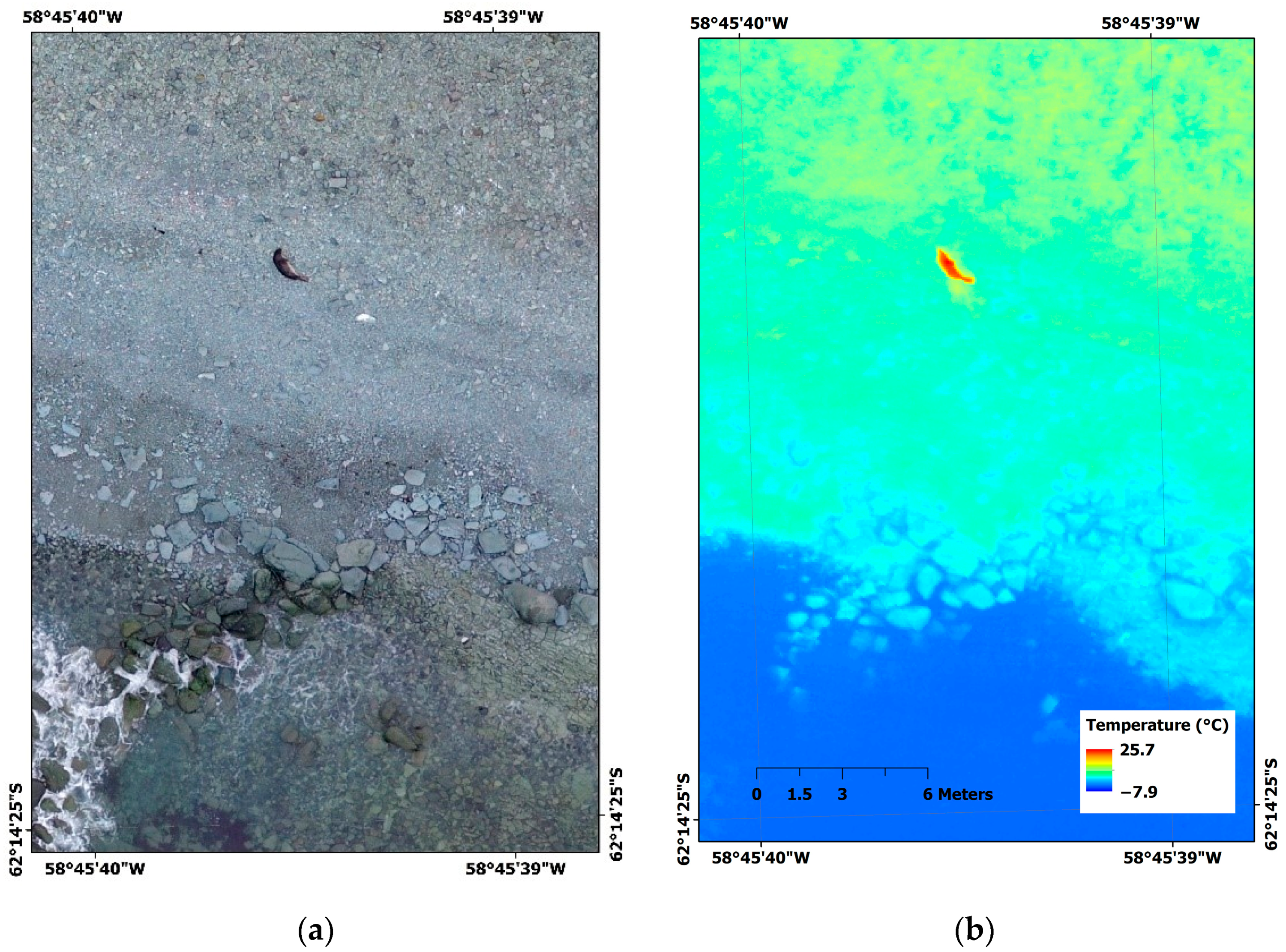 Animals 10 02387 g004