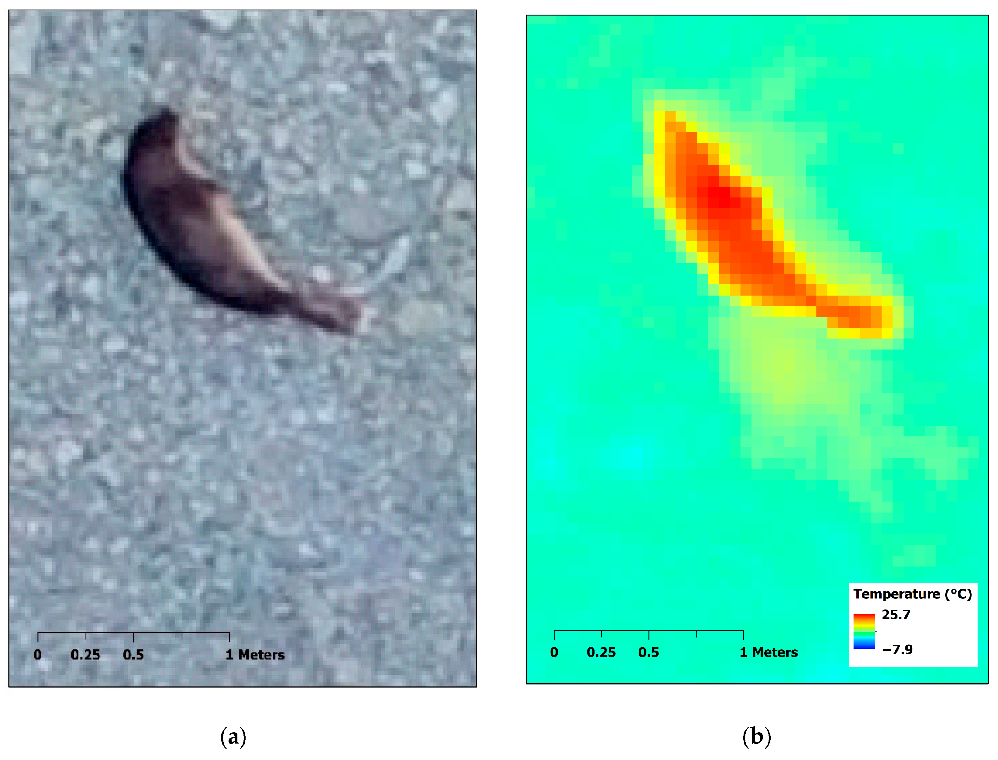 Animals 10 02387 g005a