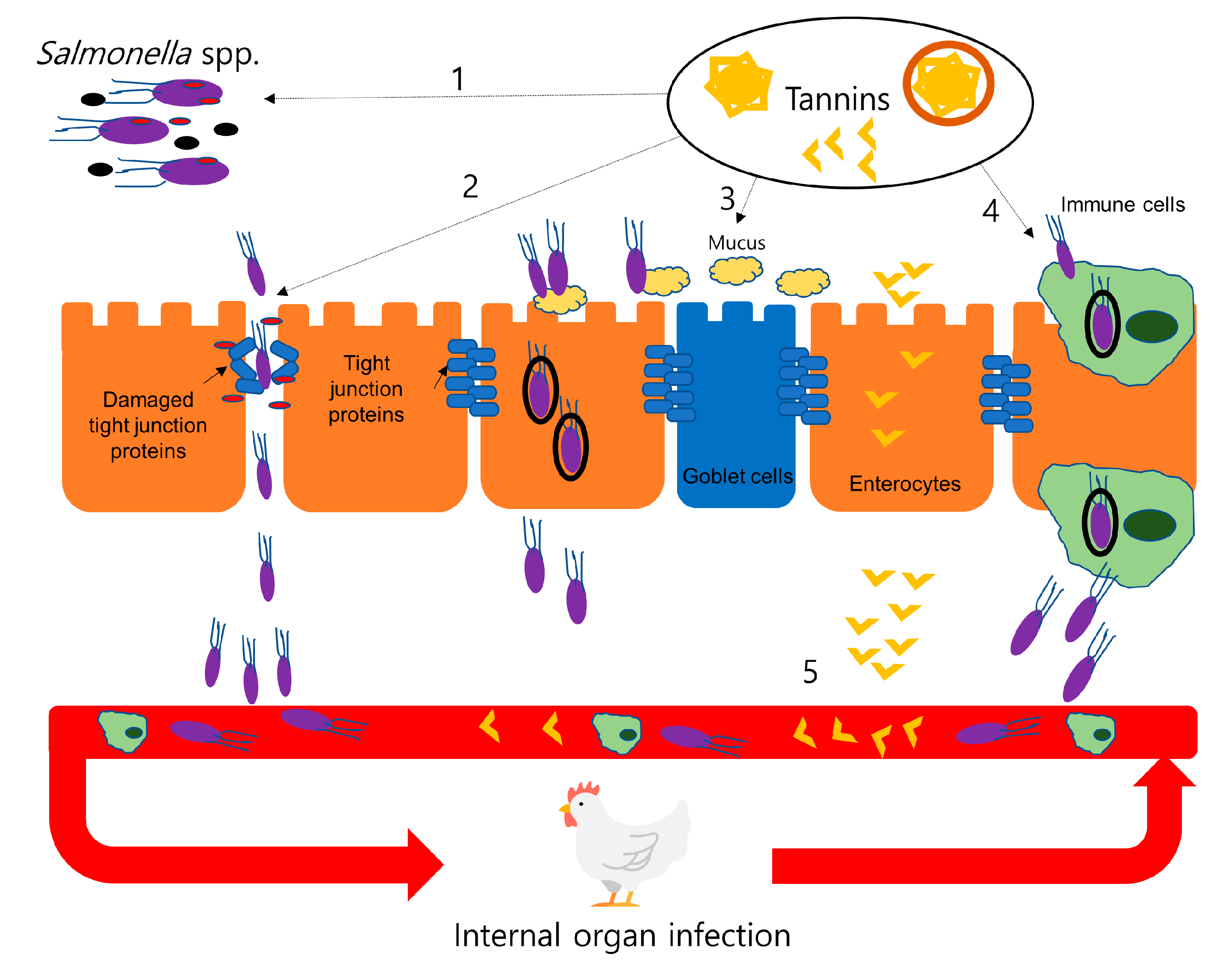Animals 10 02389 g002