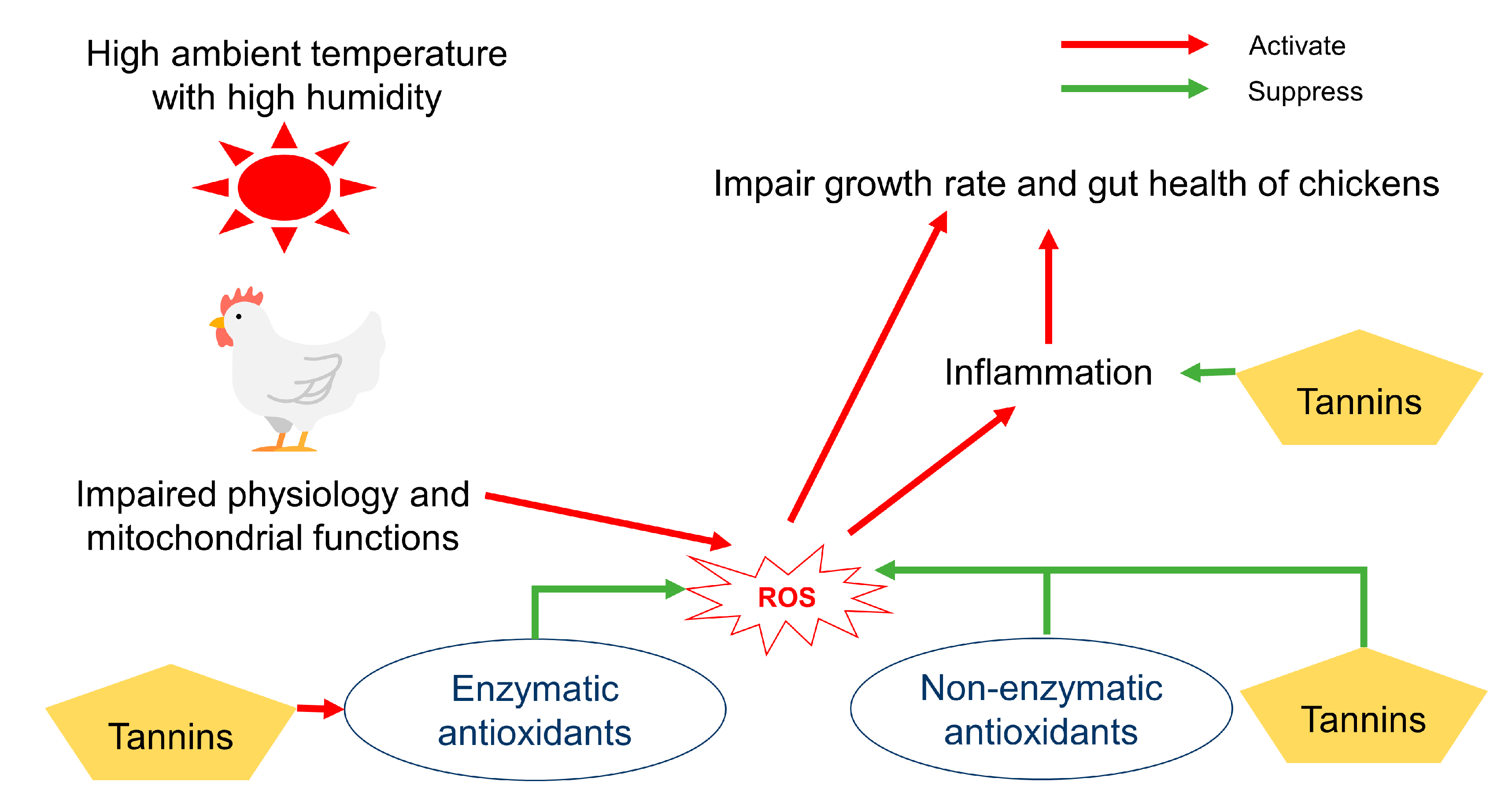 Animals 10 02389 g003