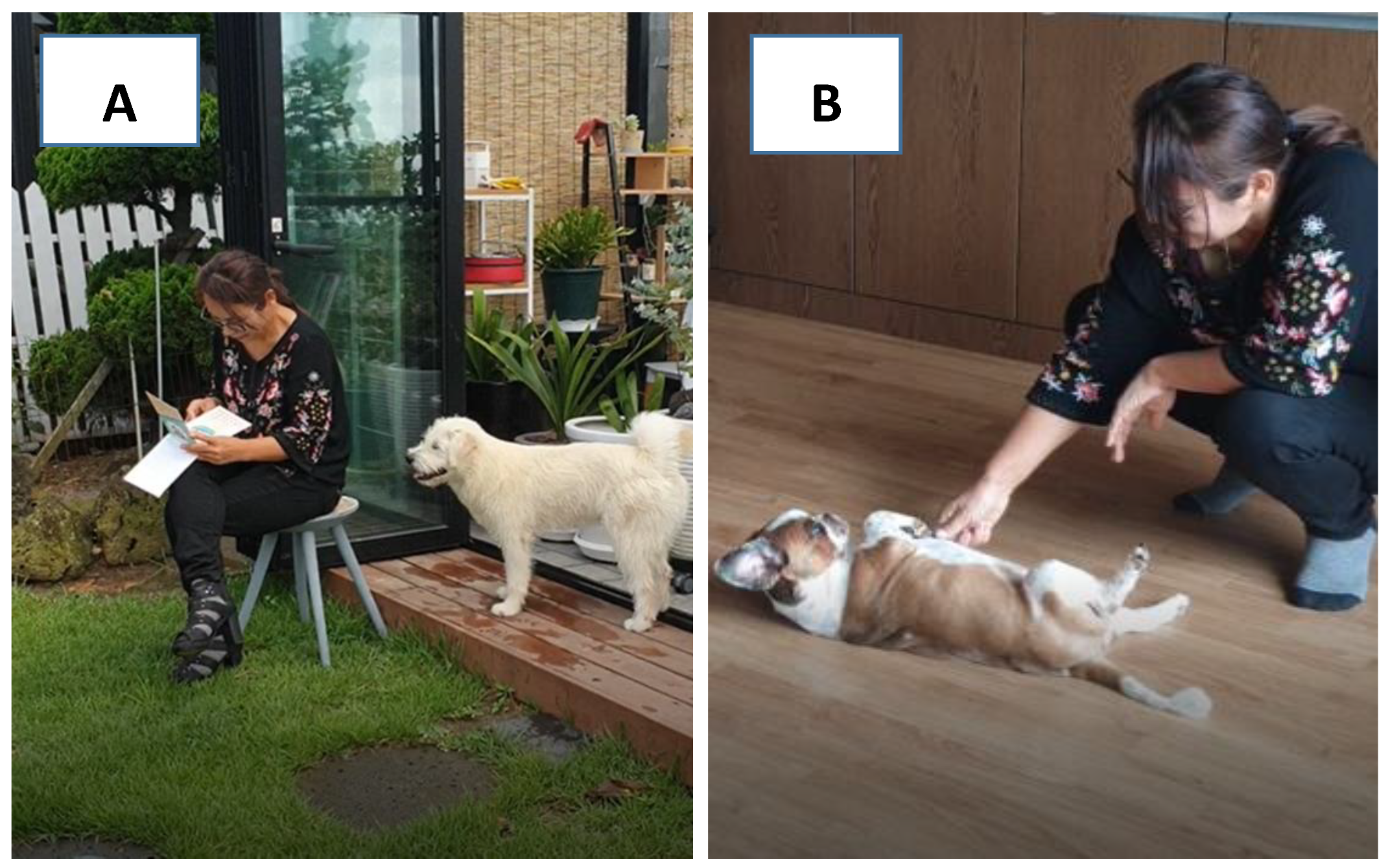 Animals 10 02413 g001