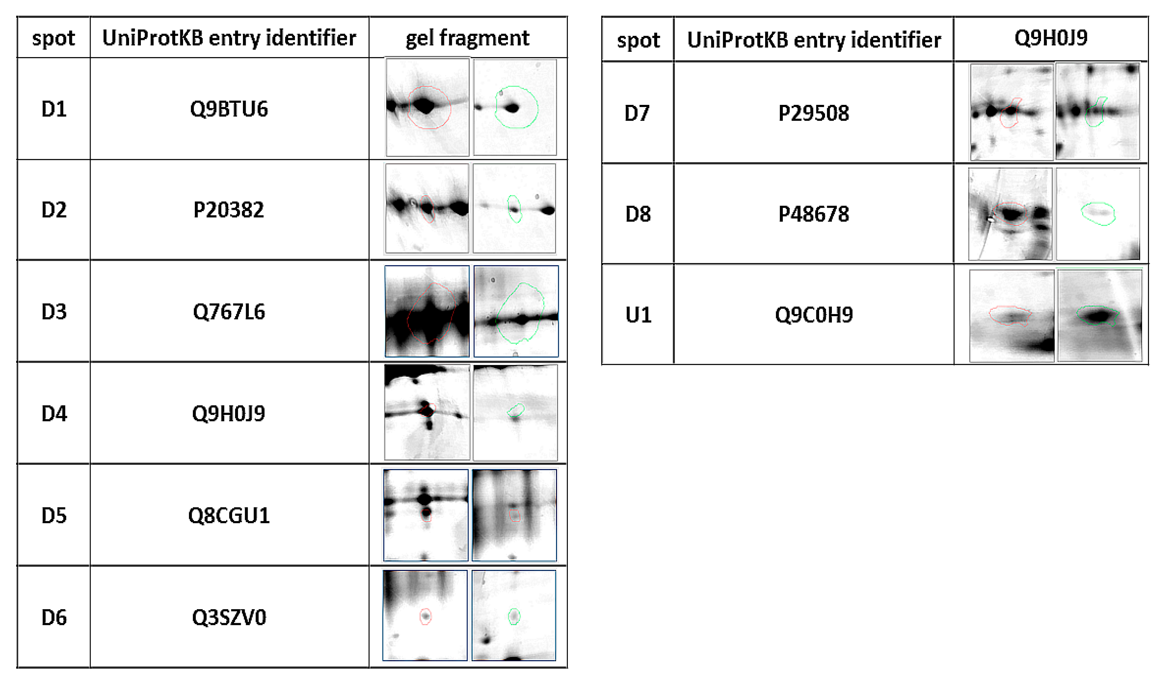 Animals 10 02416 g001