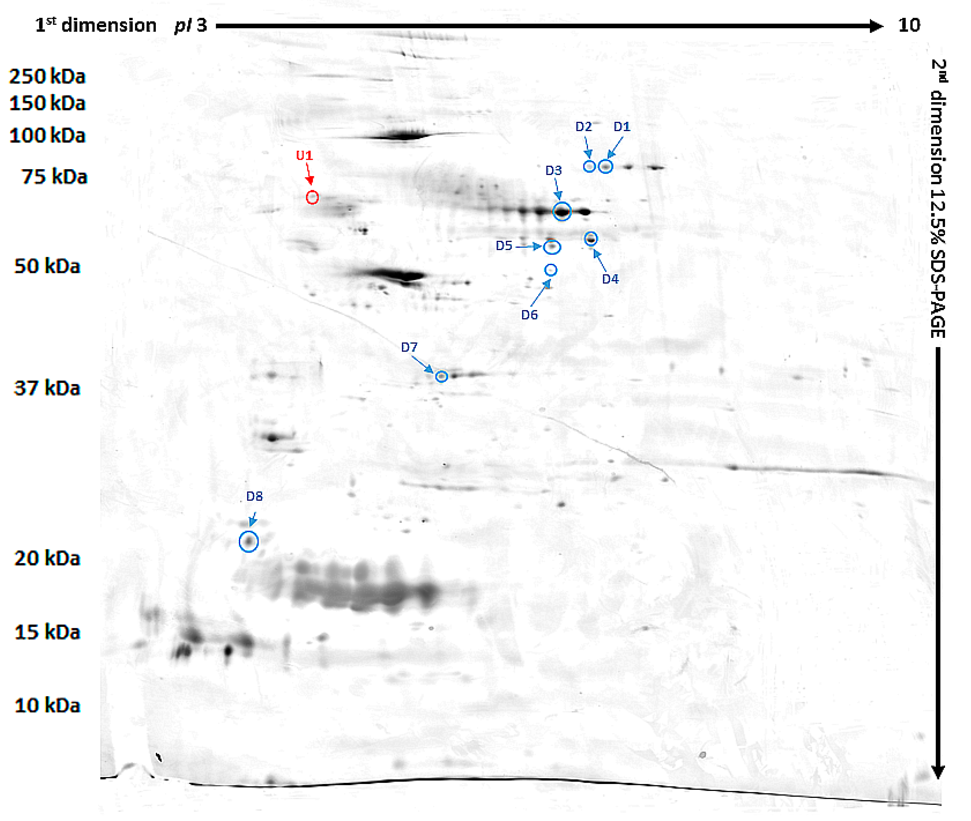 Animals 10 02416 g002