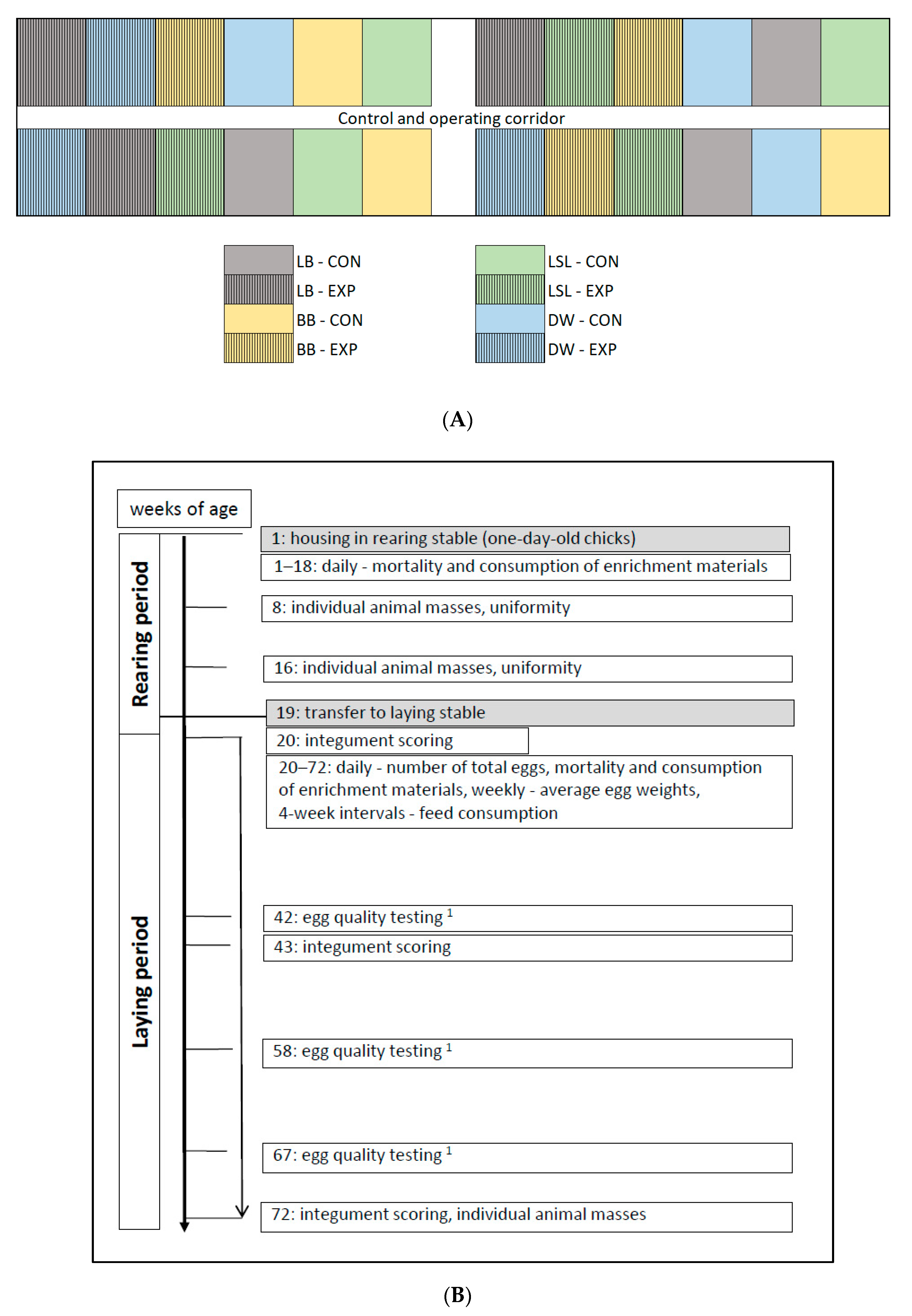 Animals 10 02434 g001