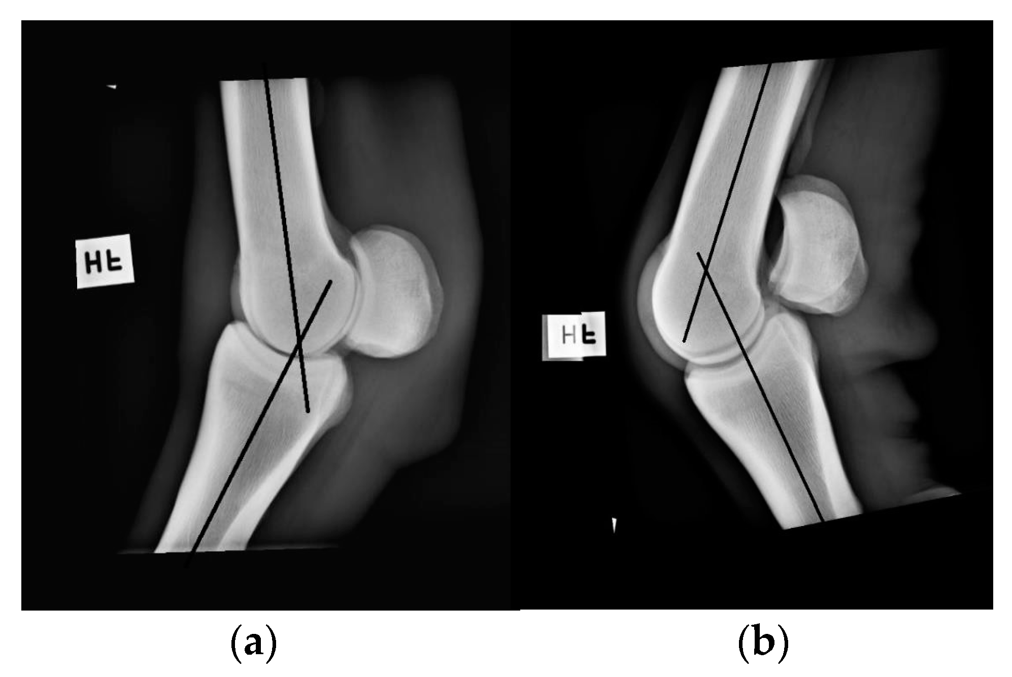 Animals 10 02436 g003