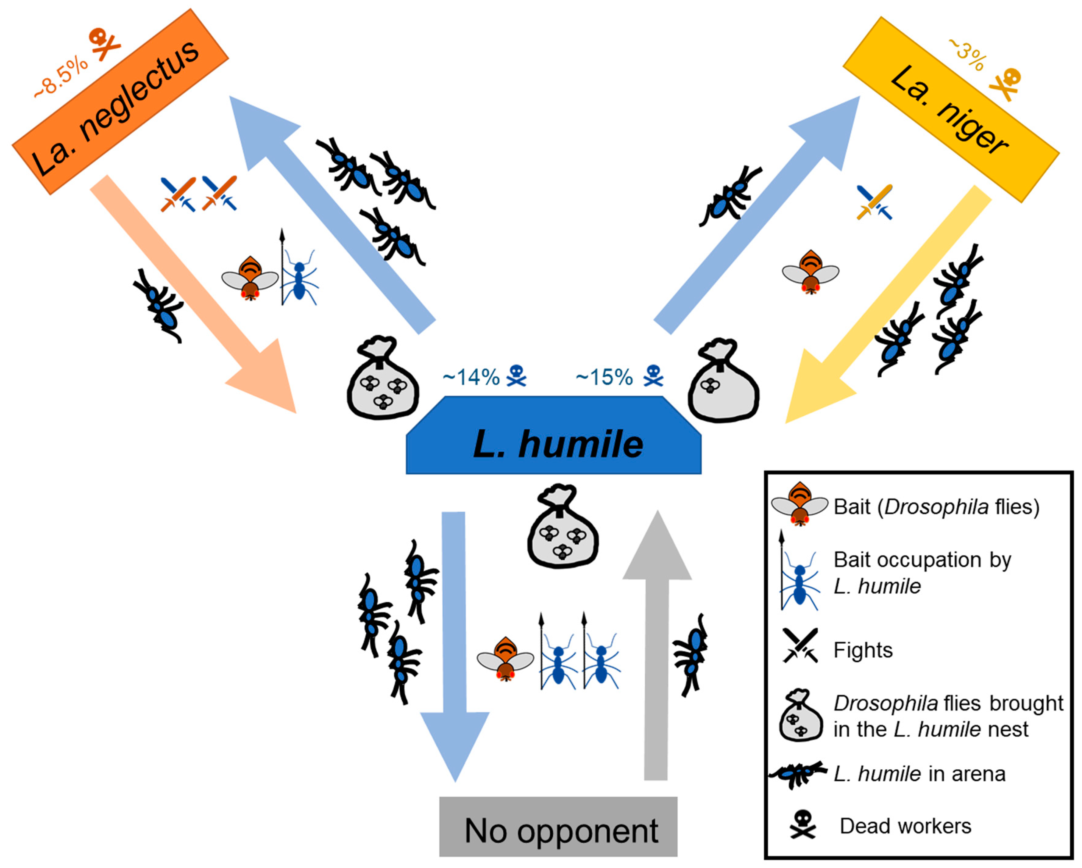 Animals 10 02451 g004