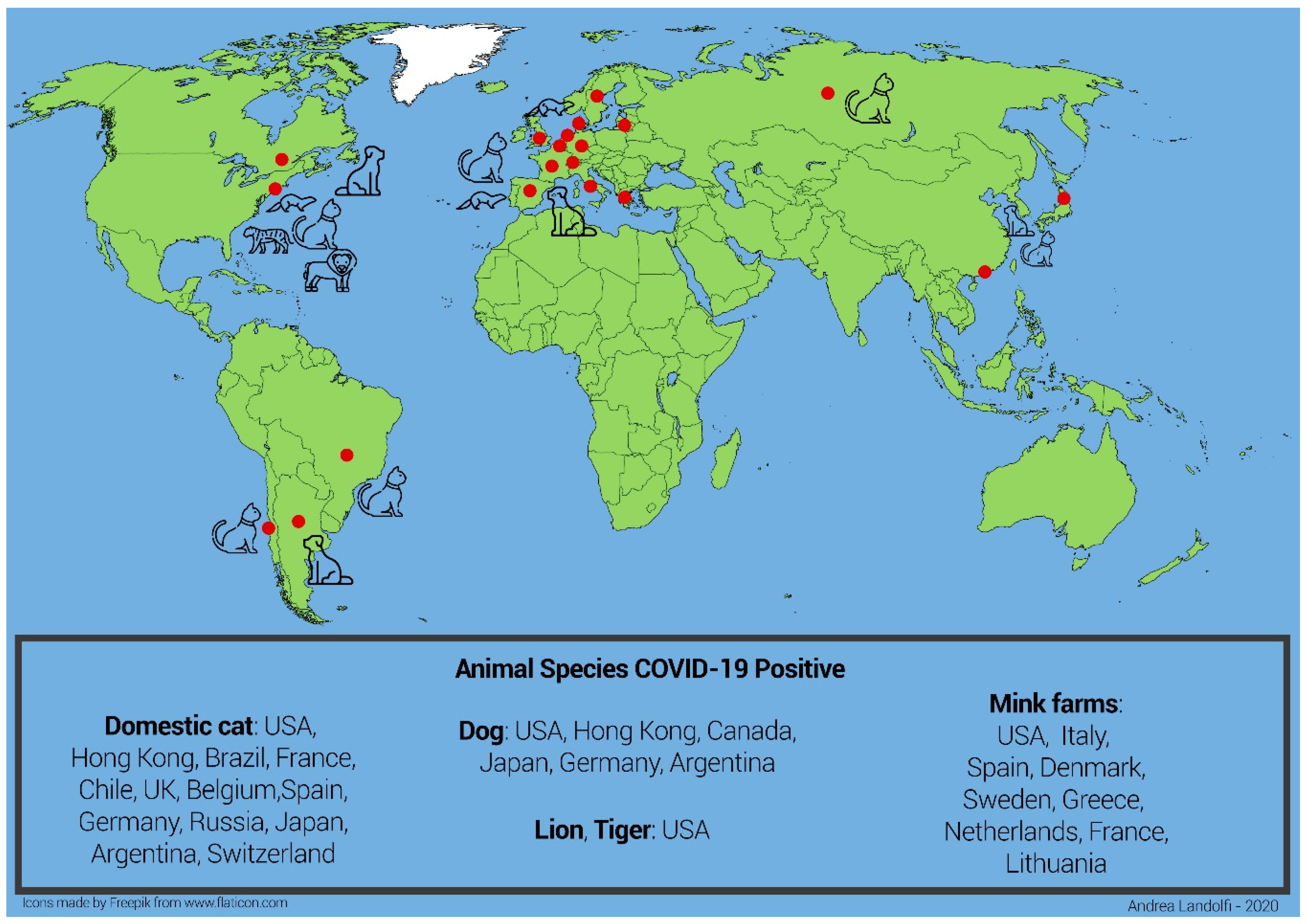 Animals 11 00016 g001