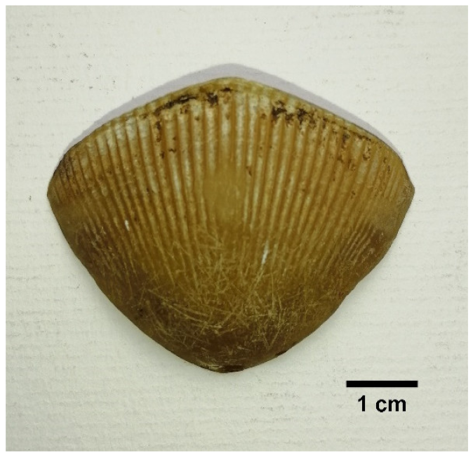 Animals 11 00025 i001