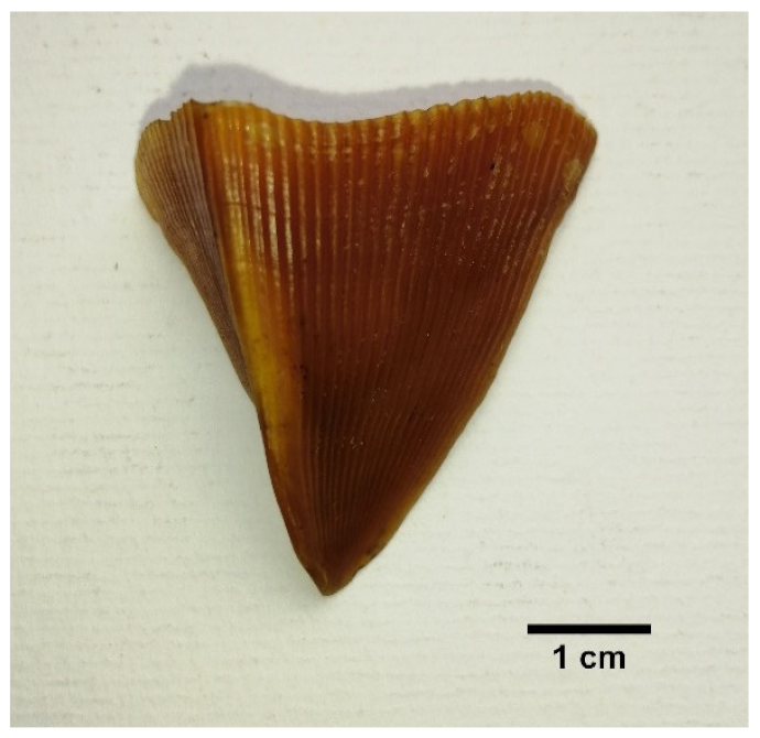 Animals 11 00025 i003