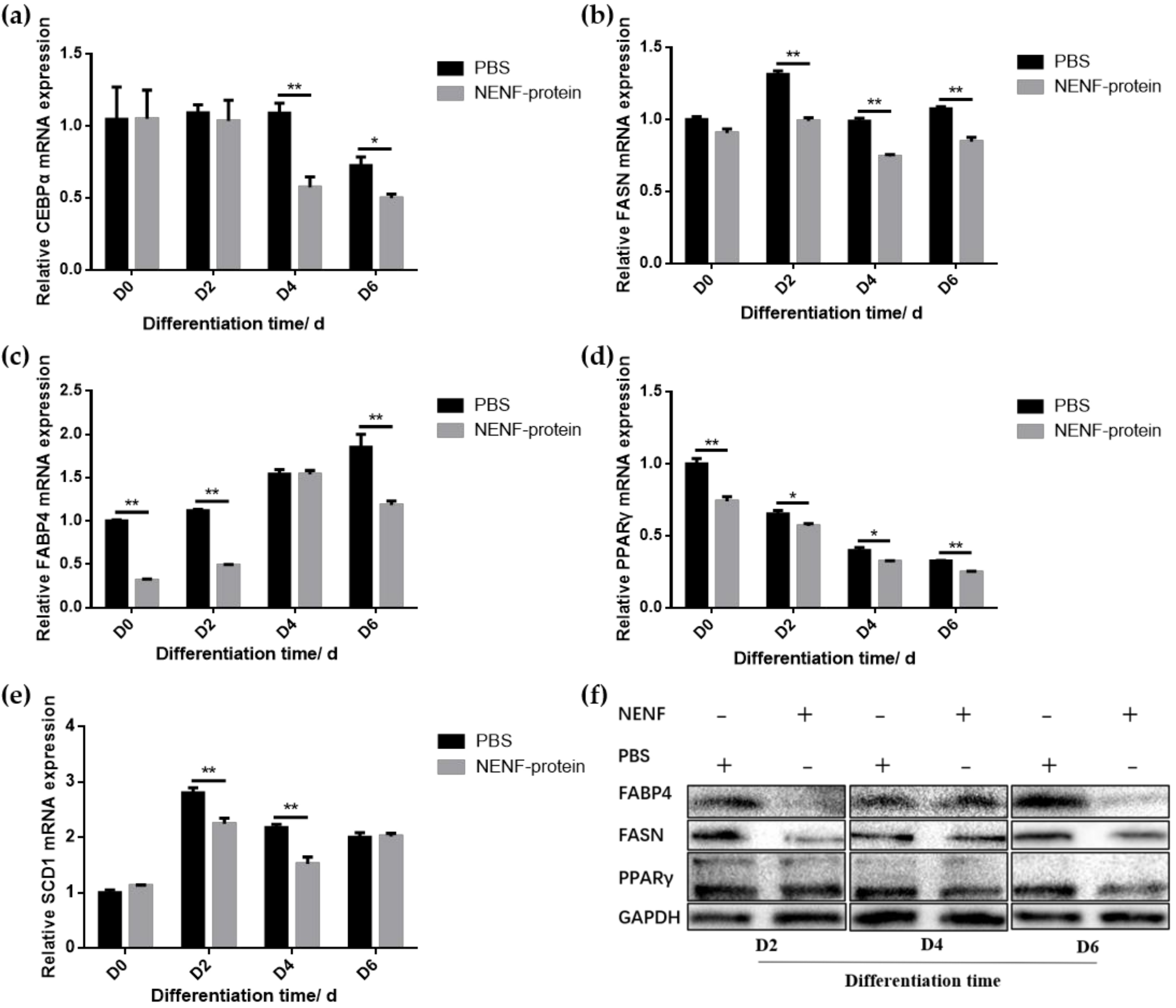 Animals 11 00034 g004 Animals 11 00034 g004