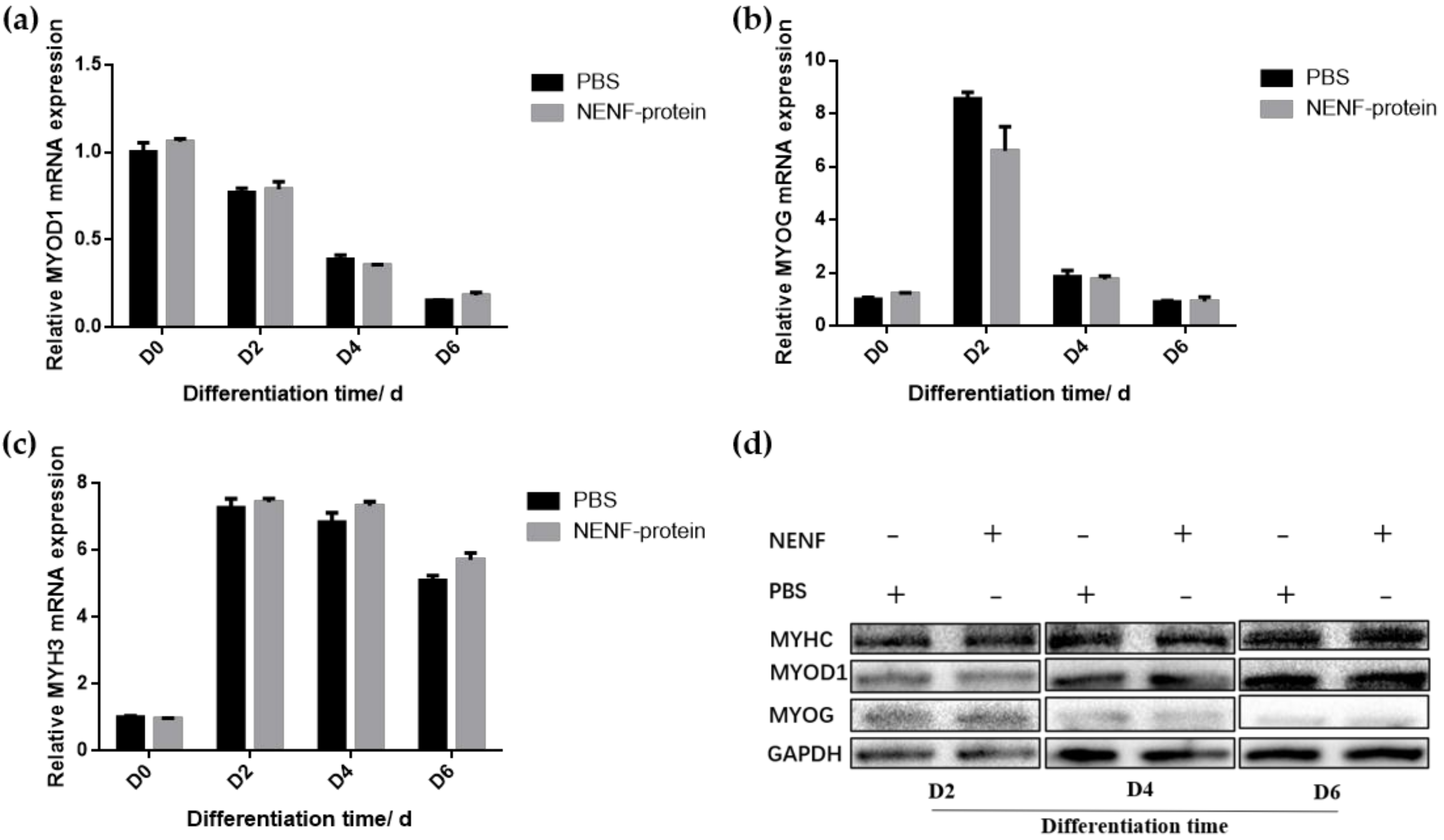 Animals 11 00034 g006 Animals 11 00034 g006