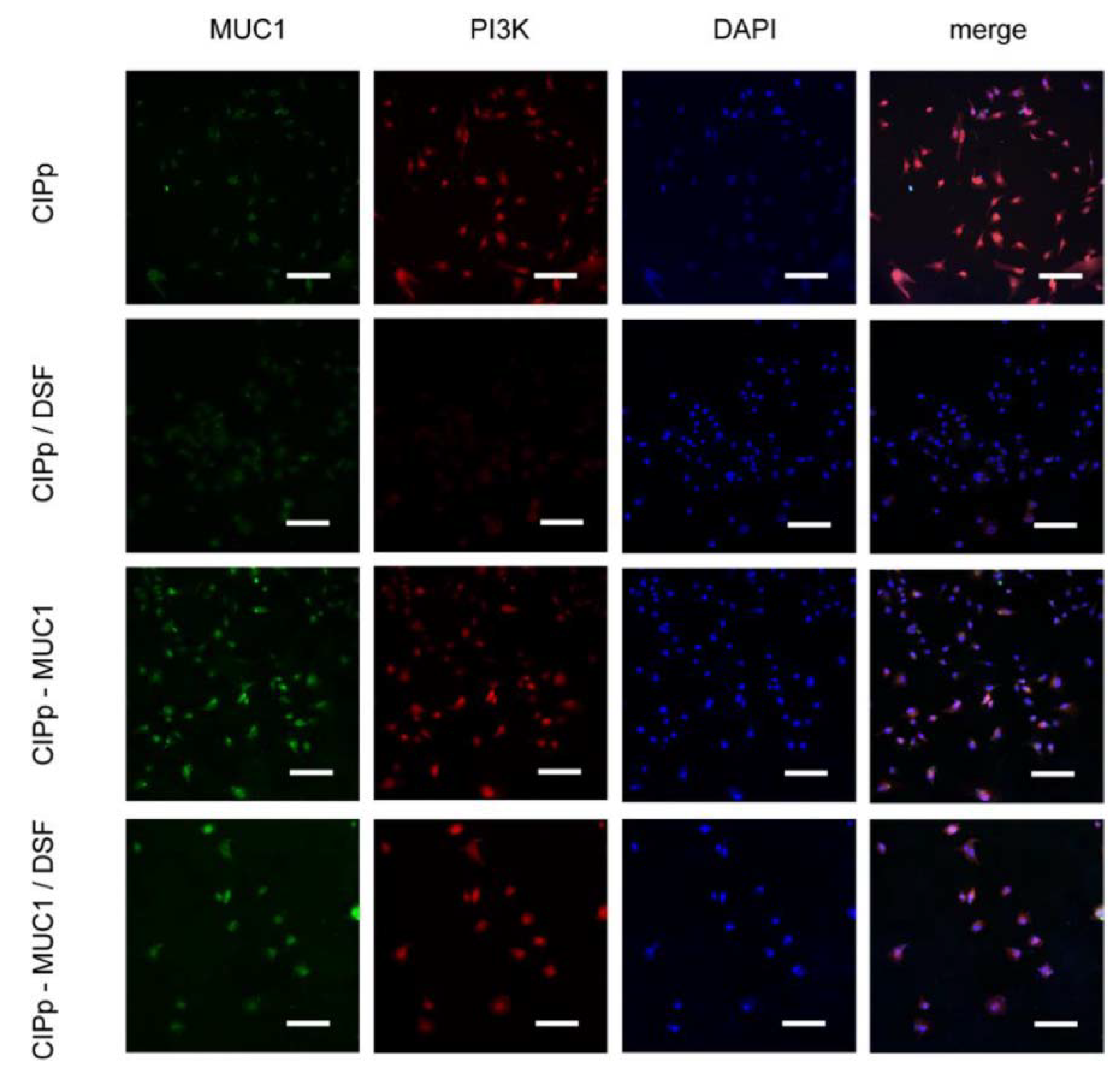 Animals 11 00037 g002