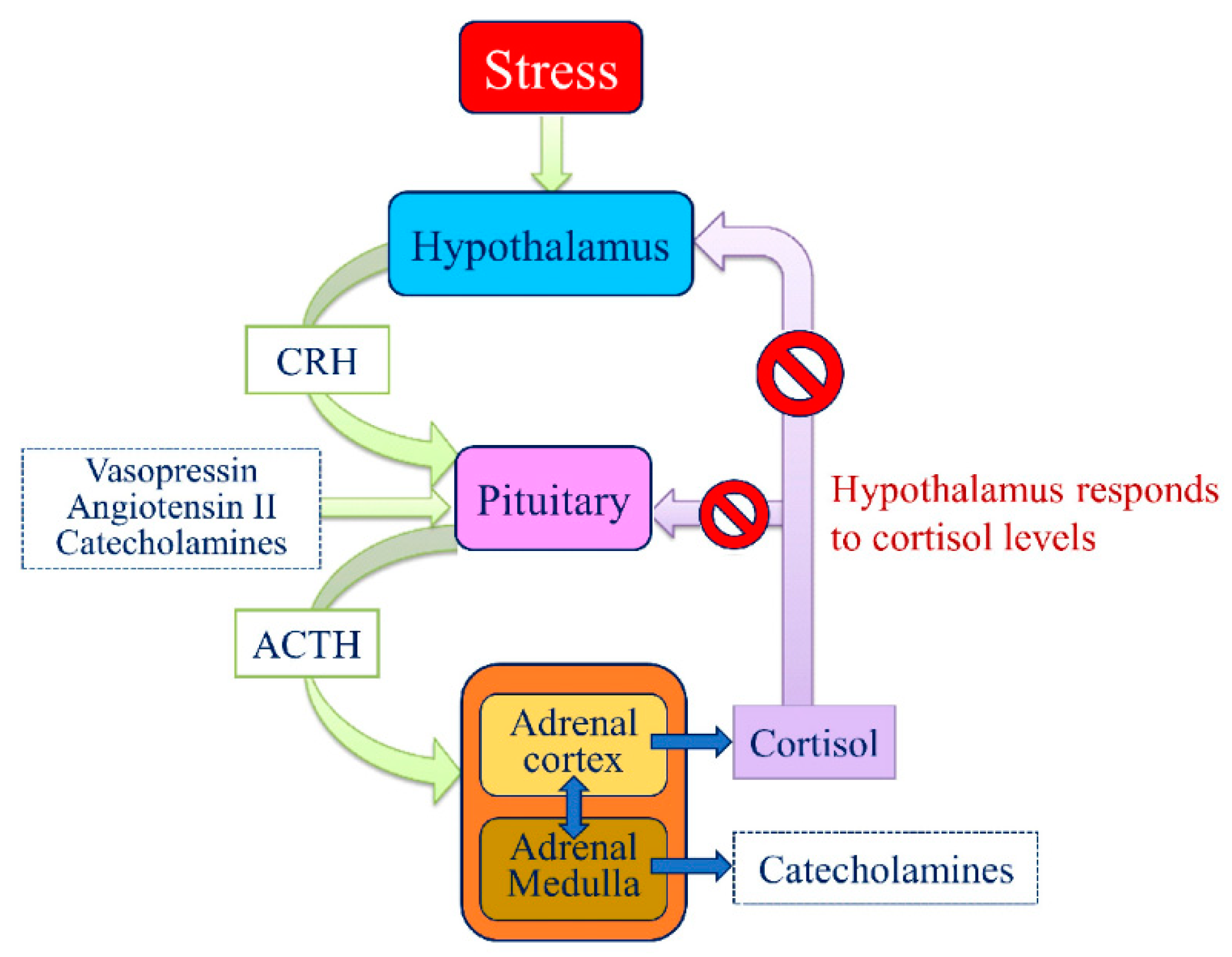 Animals 11 00047 g009 Animals 11 00047 g009