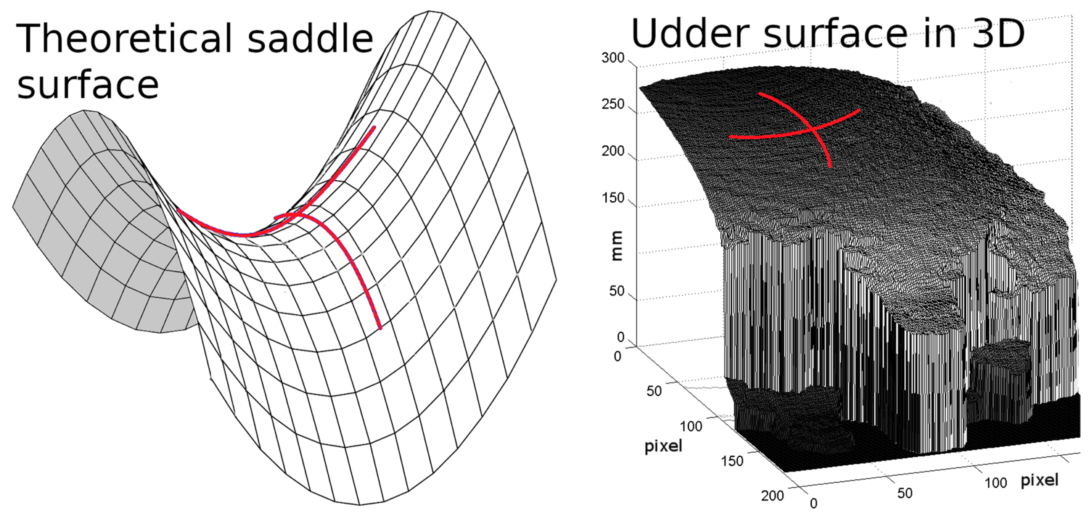 Animals 11 00050 g003