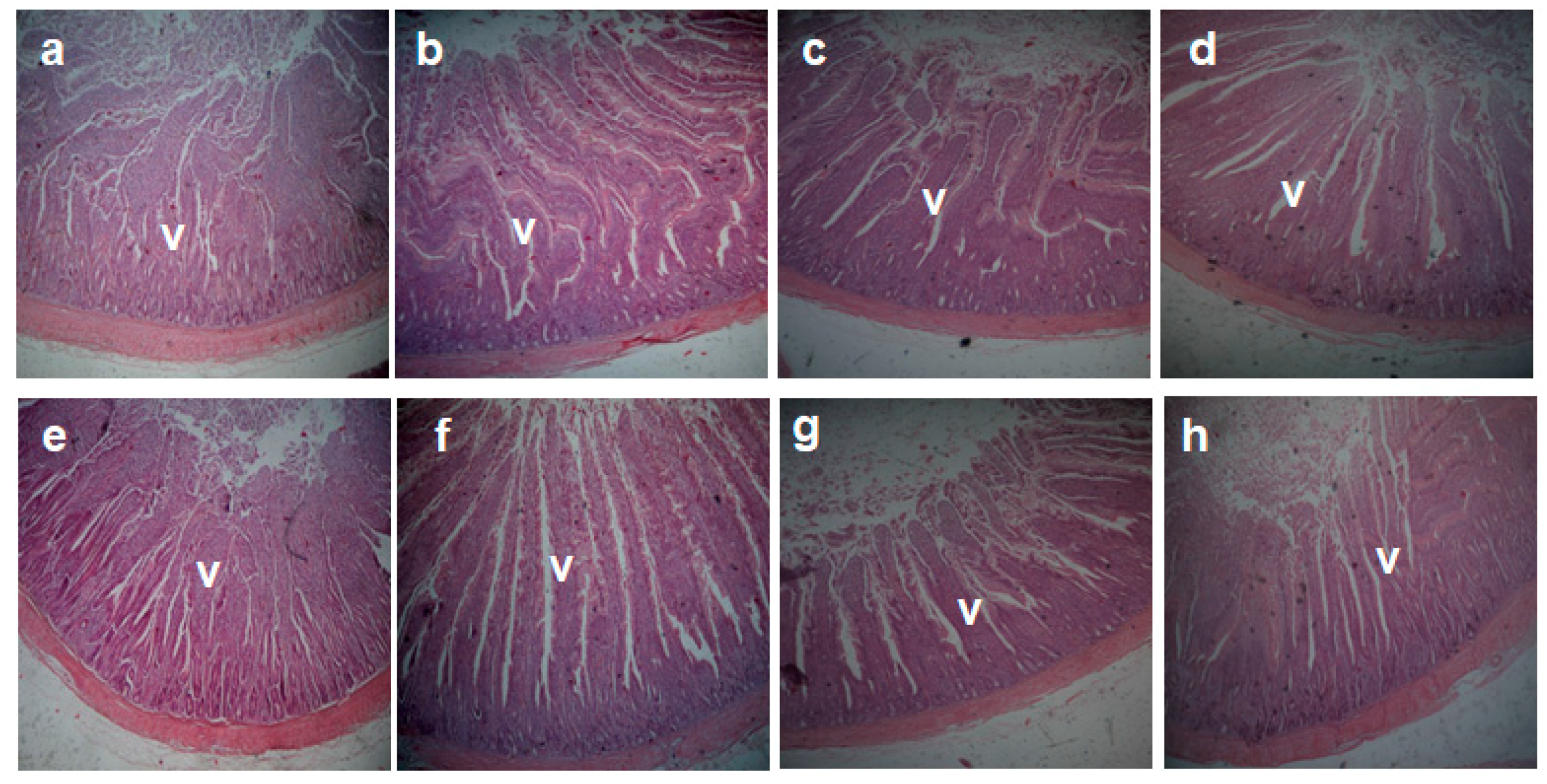 Animals 11 00057 g001
