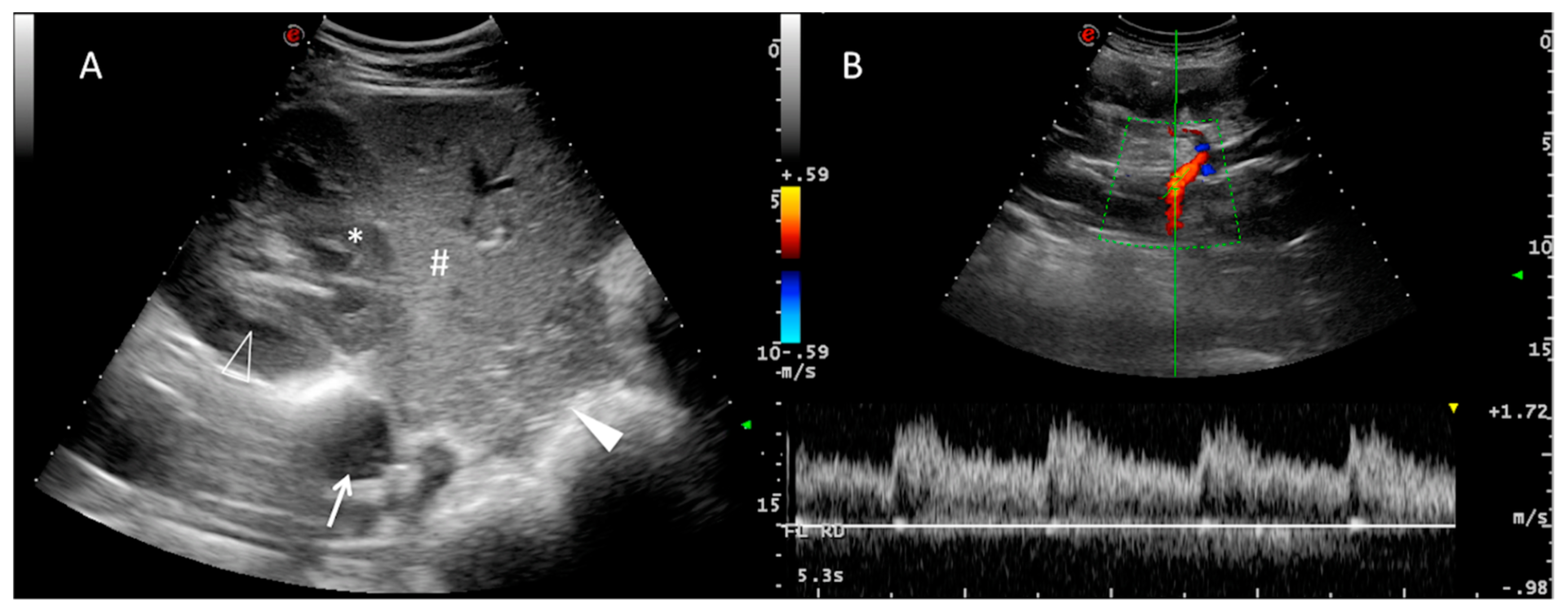 Animals 11 00063 g002 Animals 11 00063 g002