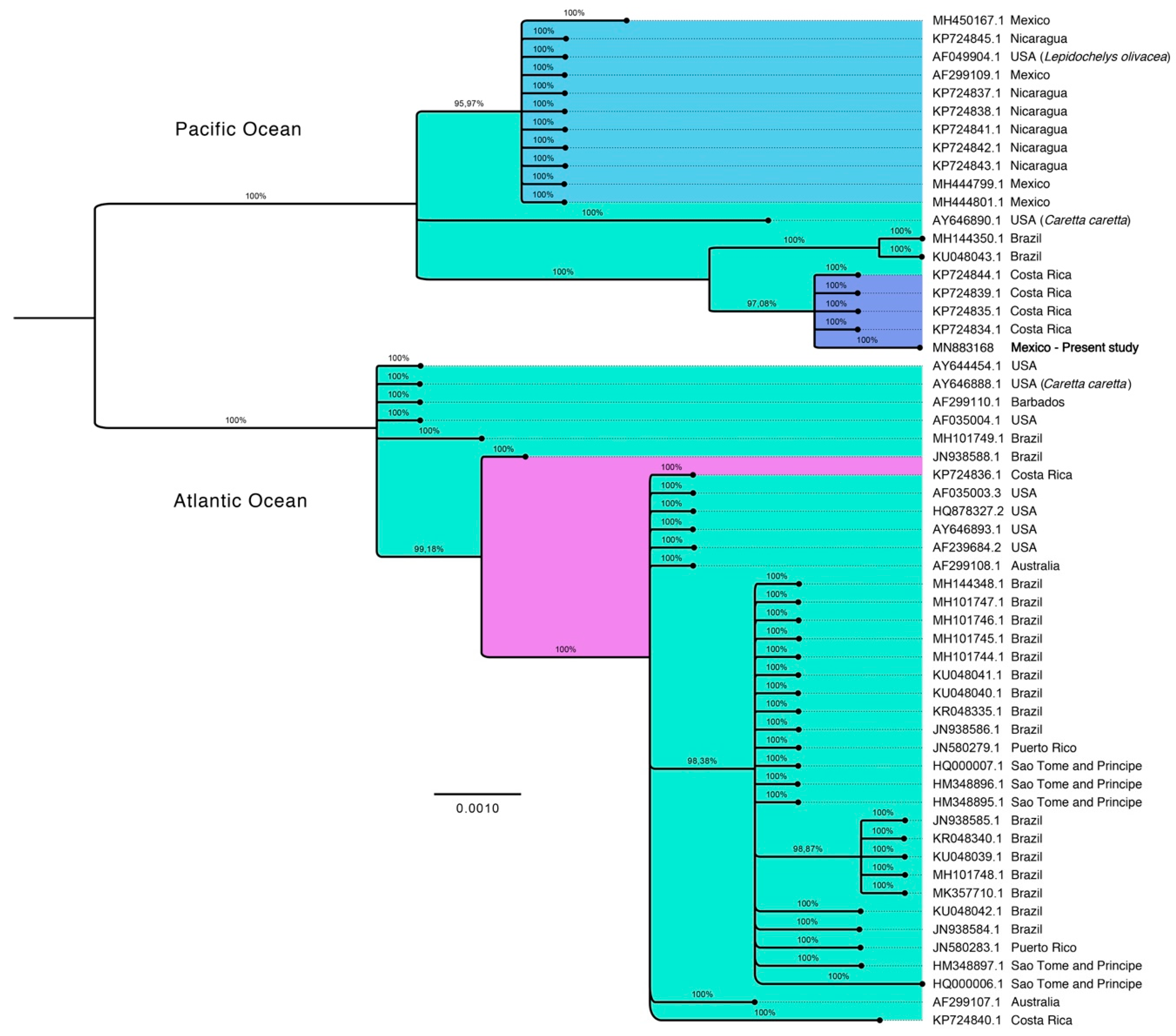 Animals 11 00105 g003