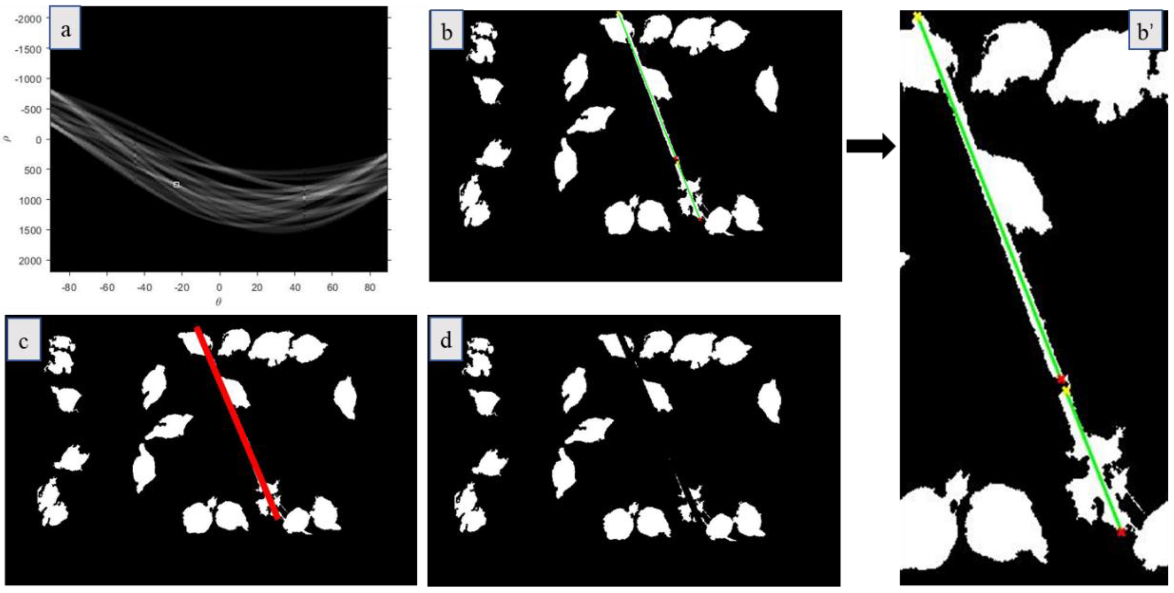 Animals 11 00123 g003 Animals 11 00123 g003