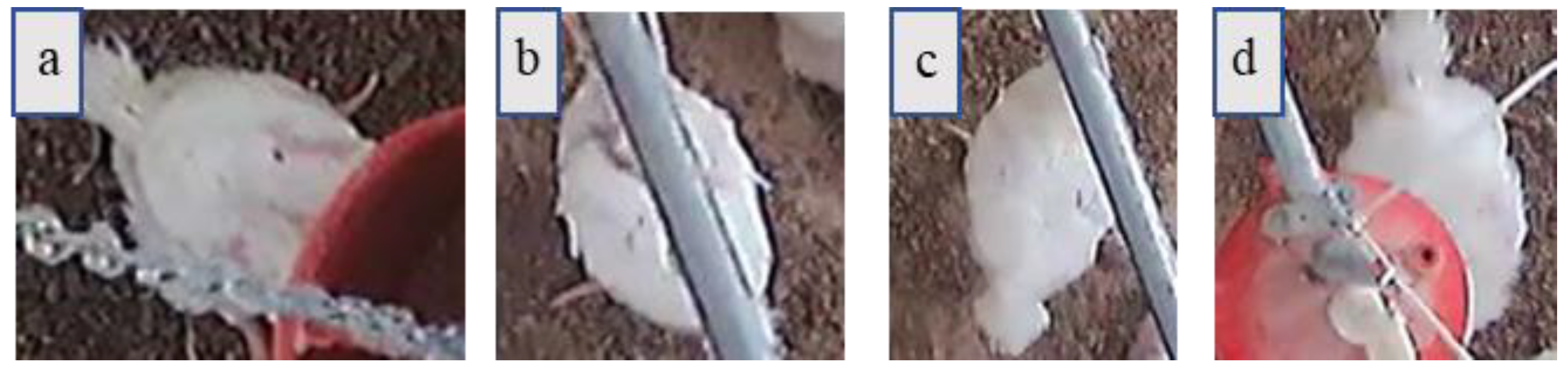 Animals 11 00123 g005 Animals 11 00123 g005