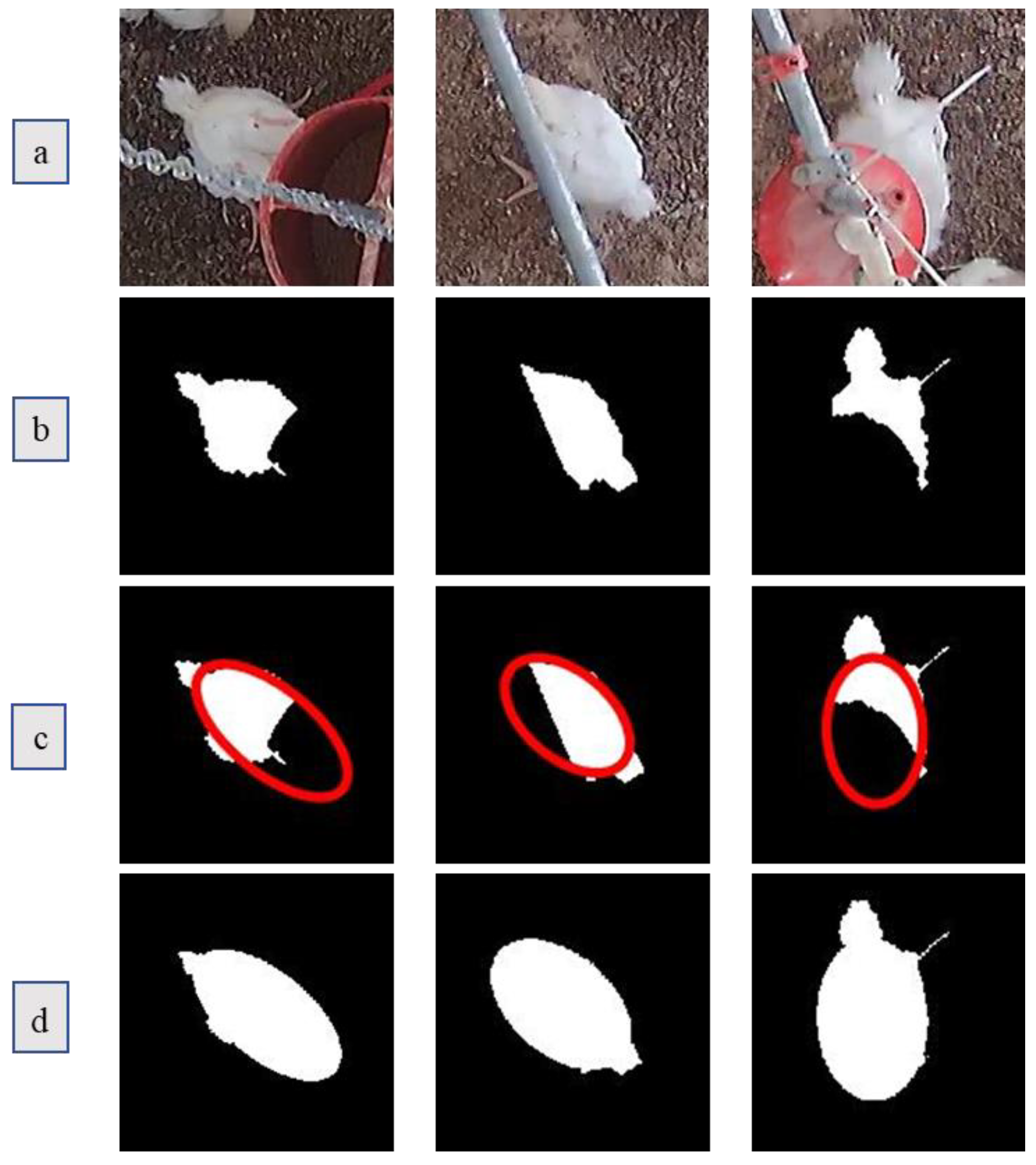 Animals 11 00123 g007 Animals 11 00123 g007