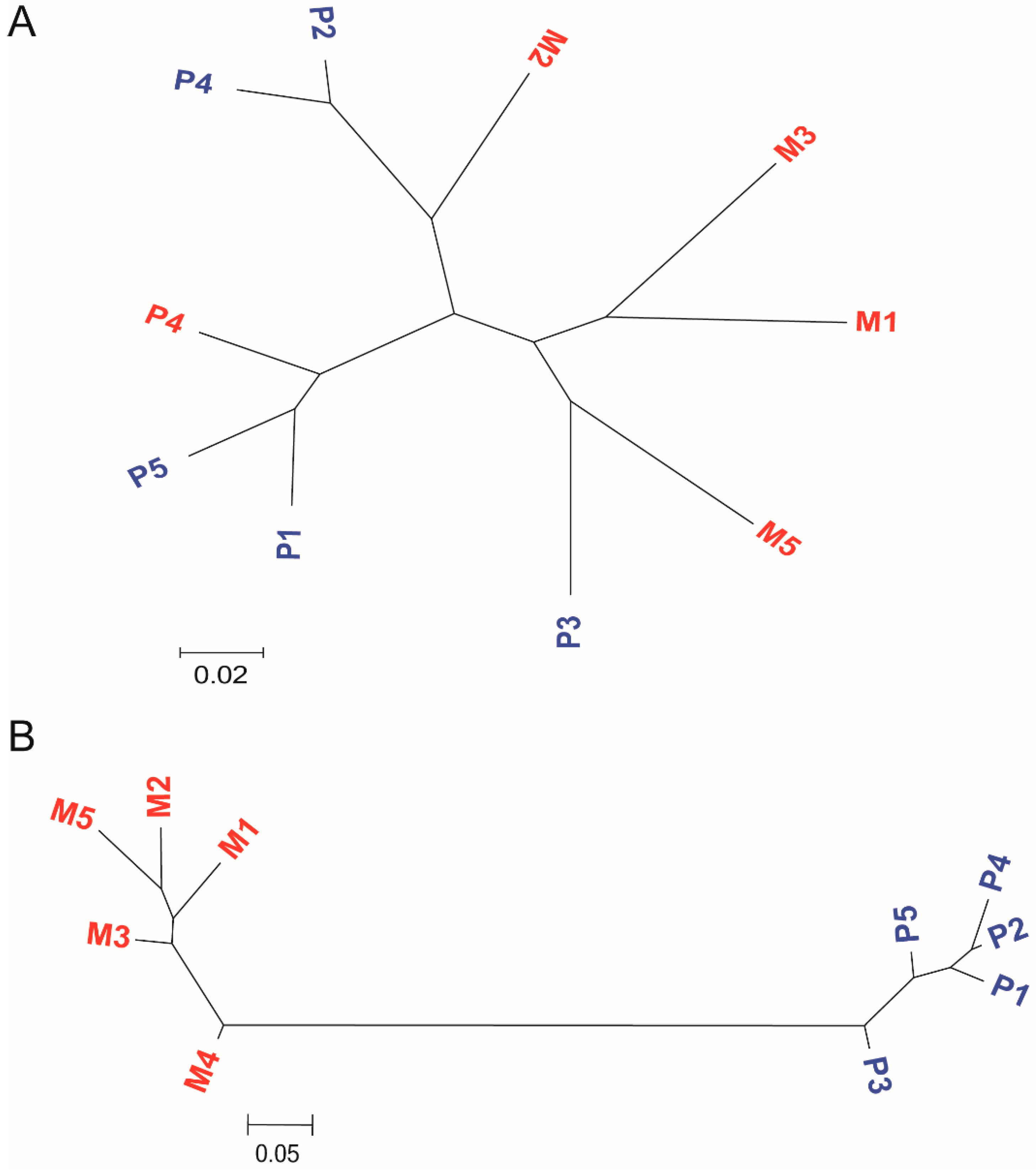 Animals 11 00157 g001