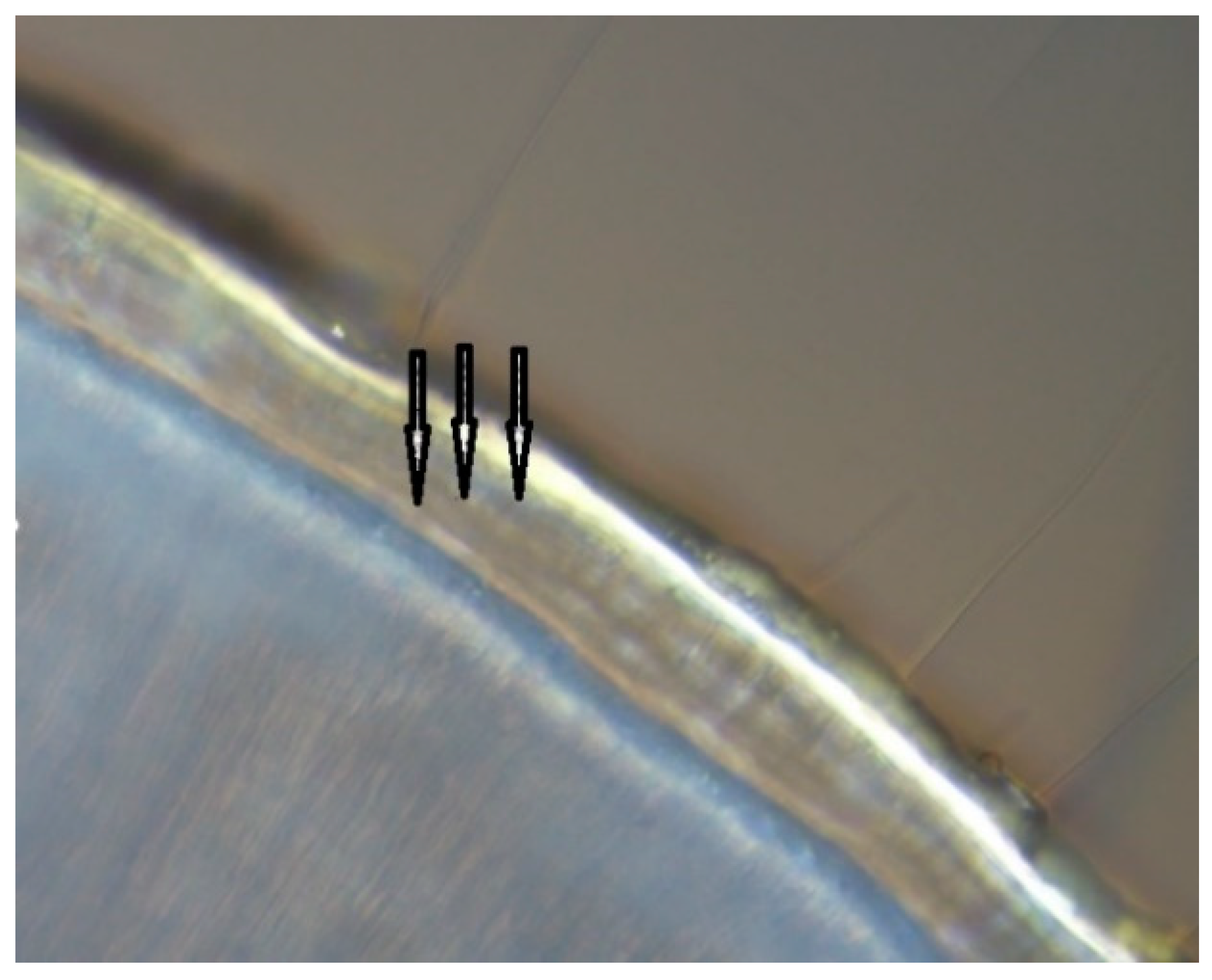 Animals 11 00162 g002 Animals 11 00162 g002