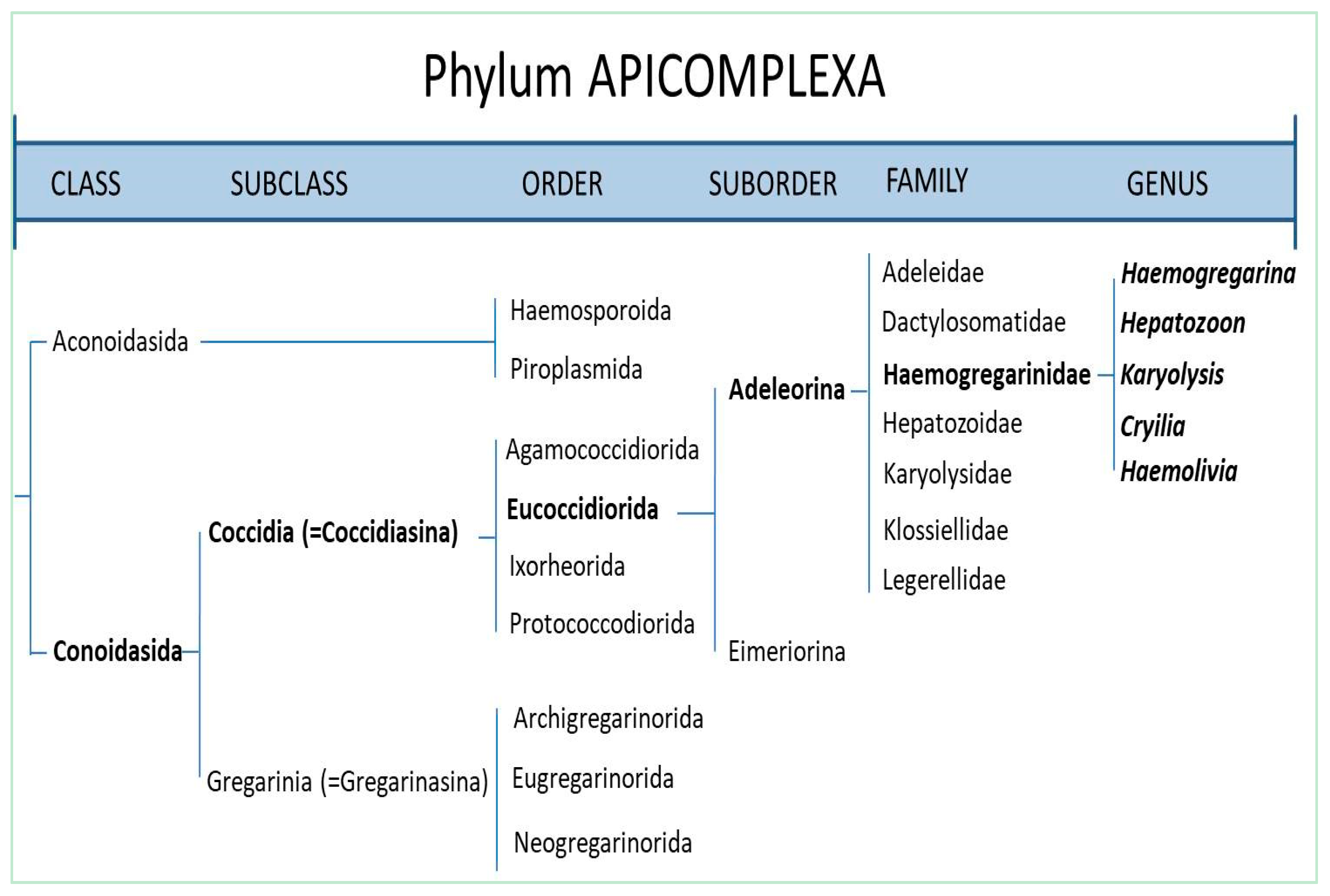 Animals 11 00170 g002