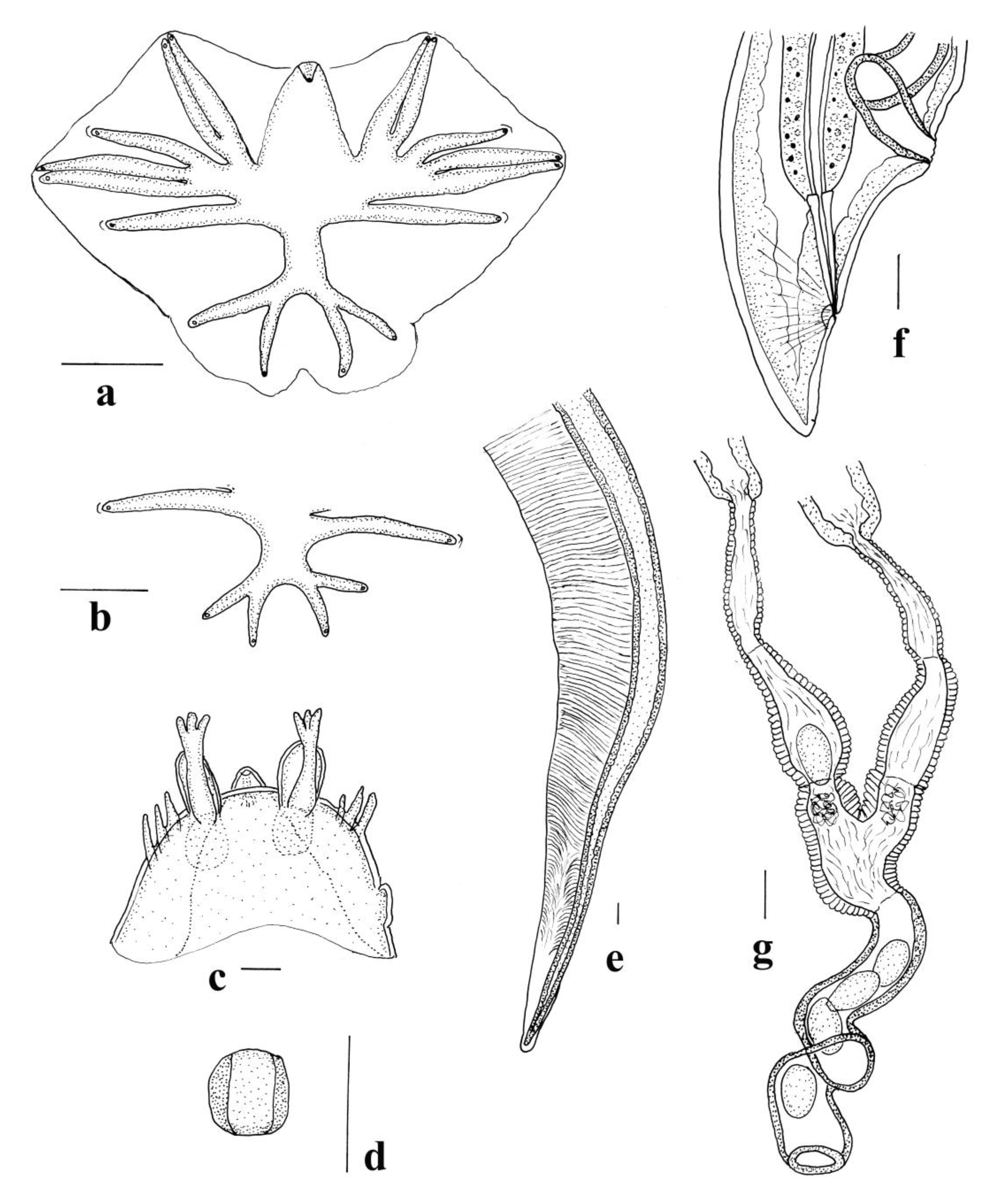 Animals 11 00175 g002