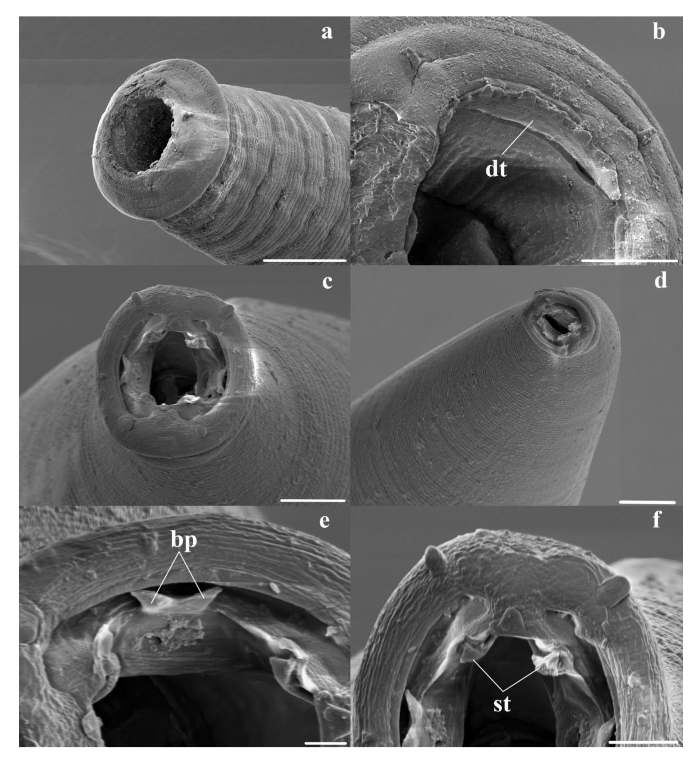 Animals 11 00175 g003