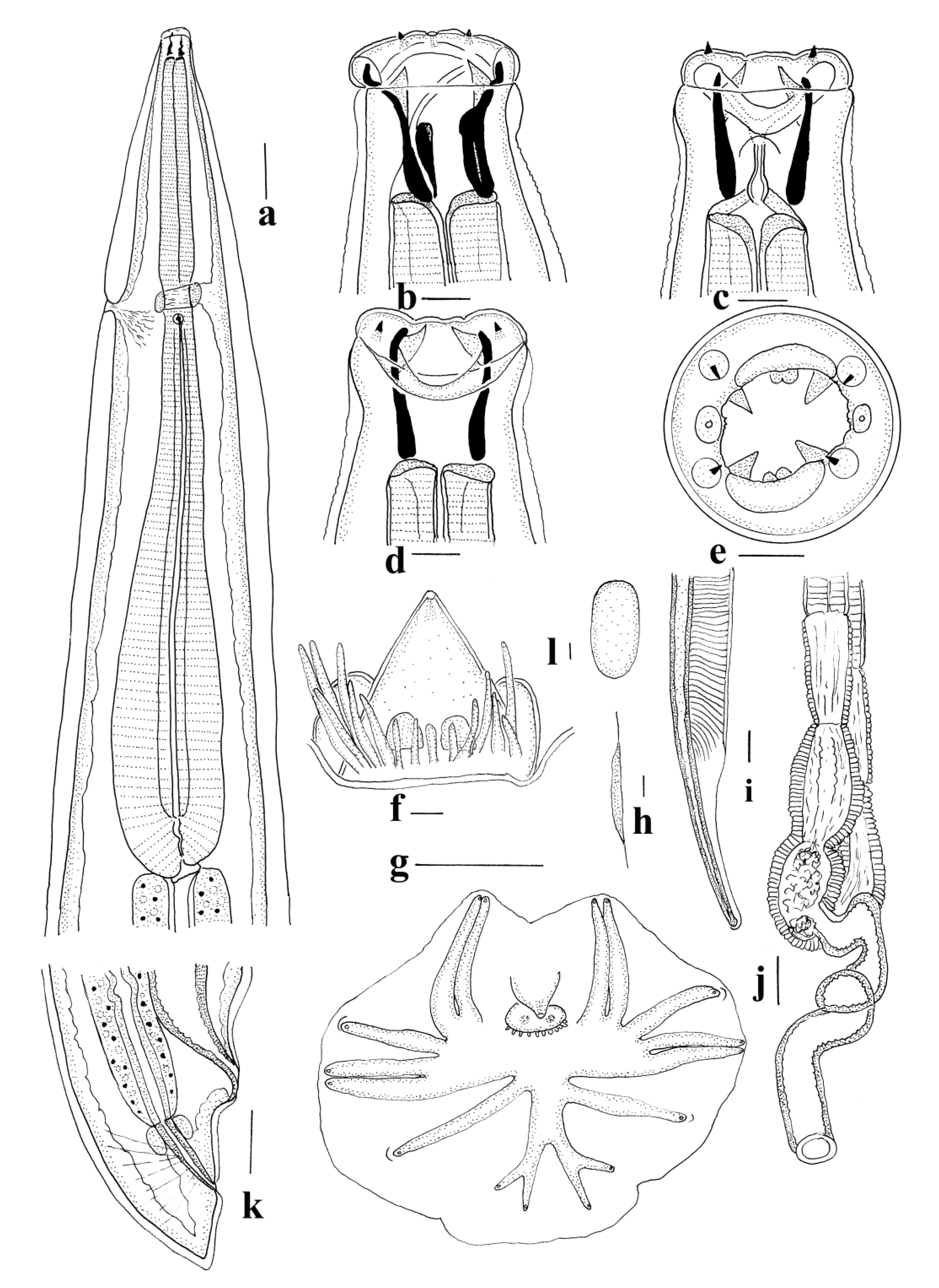 Animals 11 00175 g005