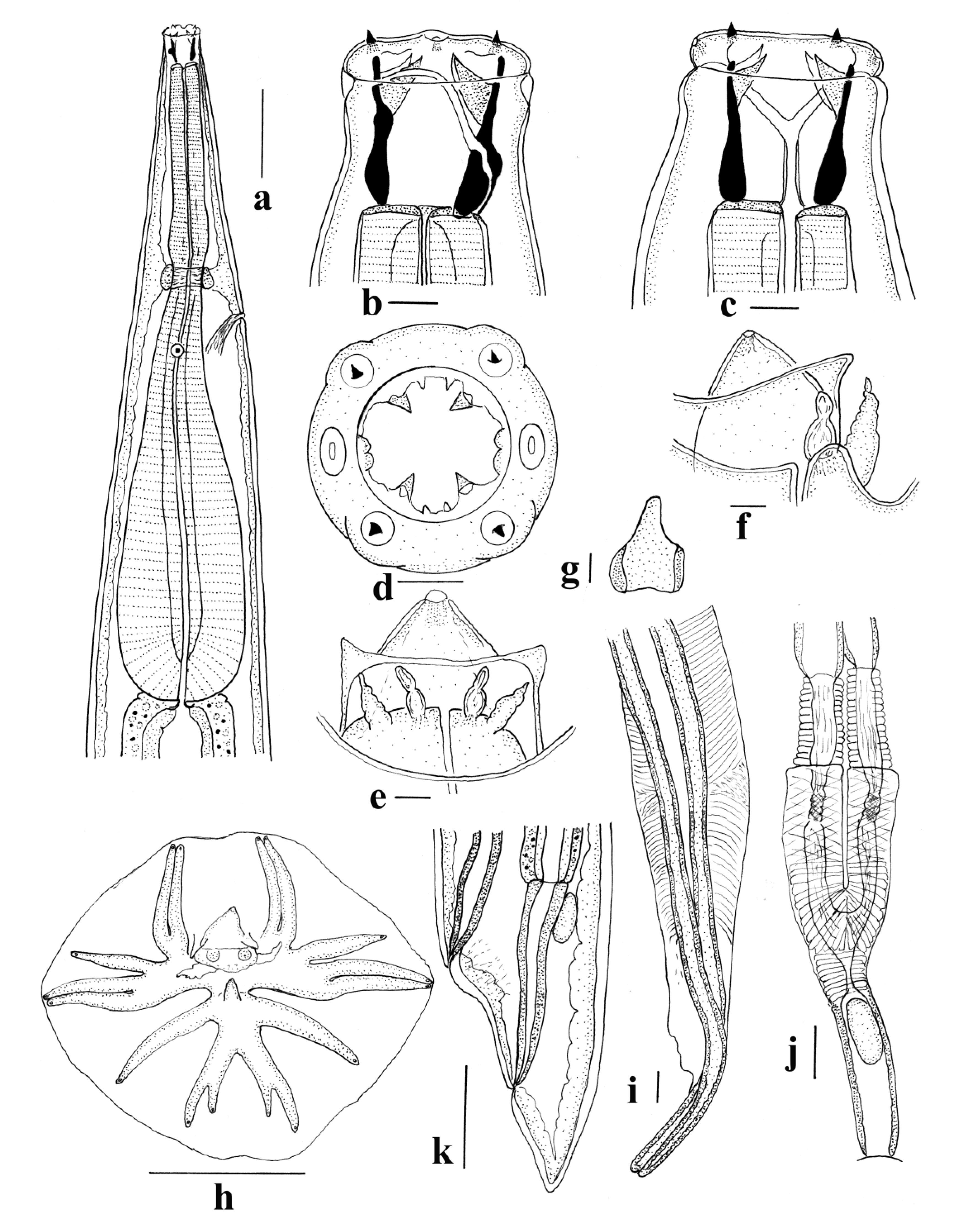 Animals 11 00175 g007