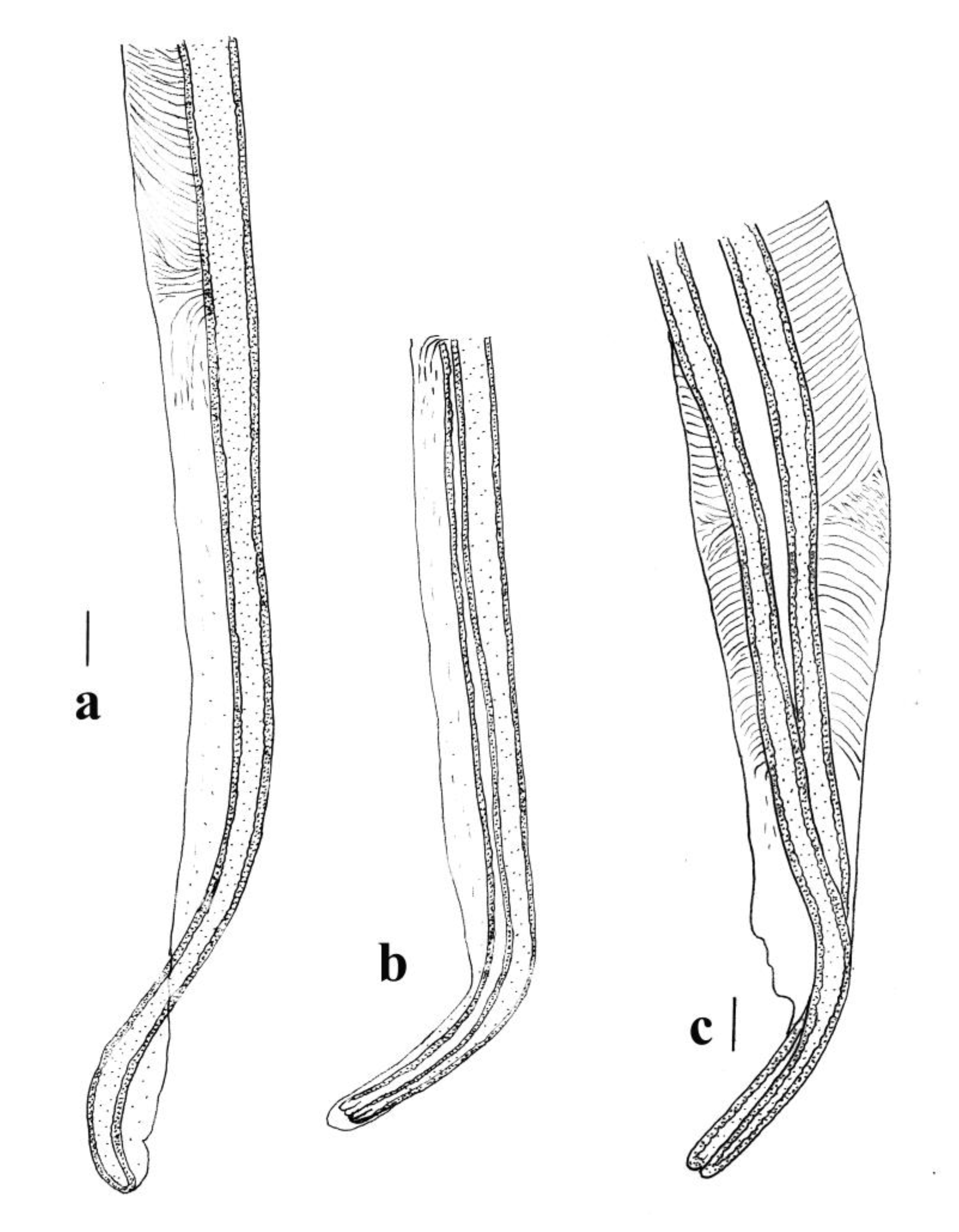 Animals 11 00175 g008