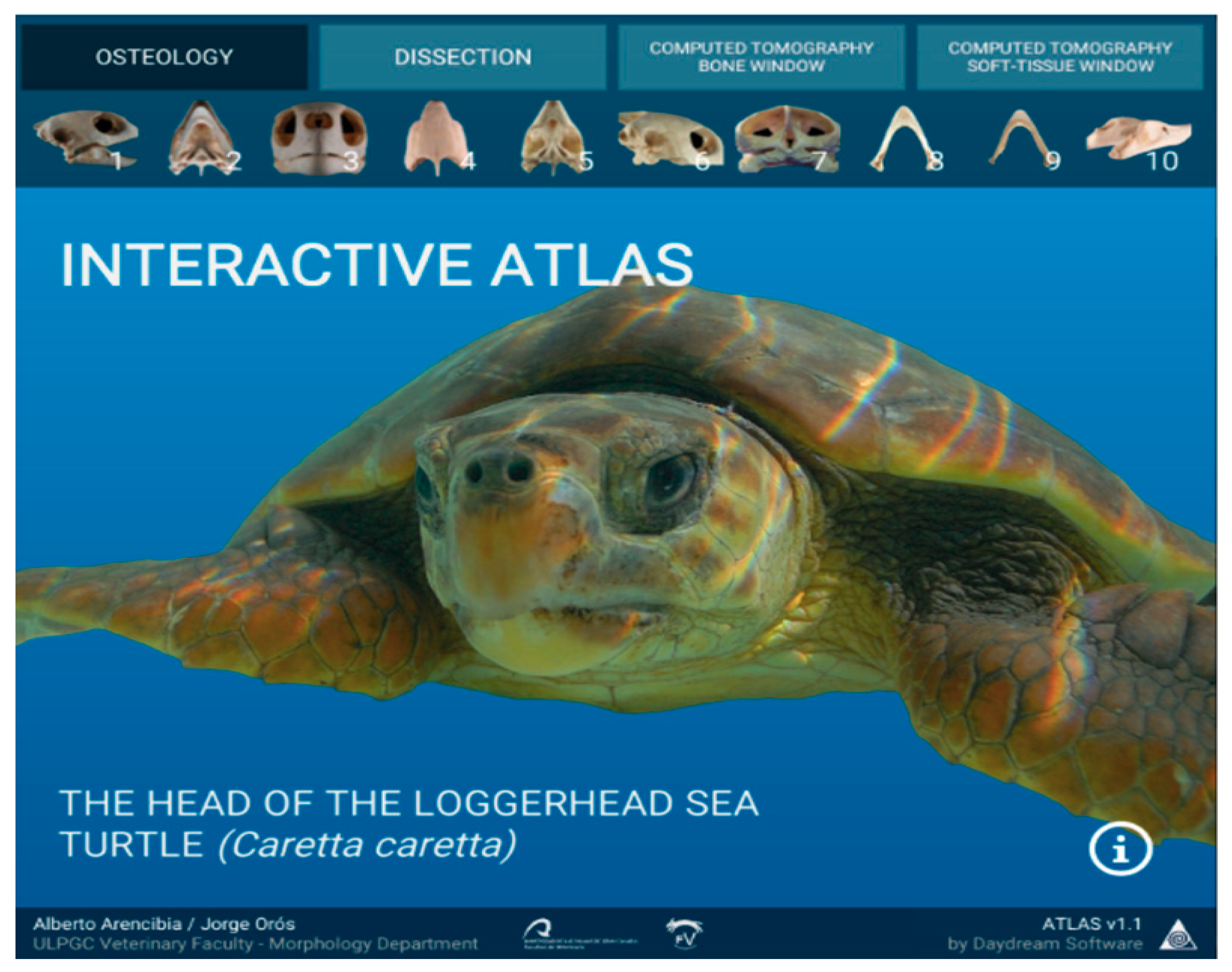 Animals 11 00198 g002