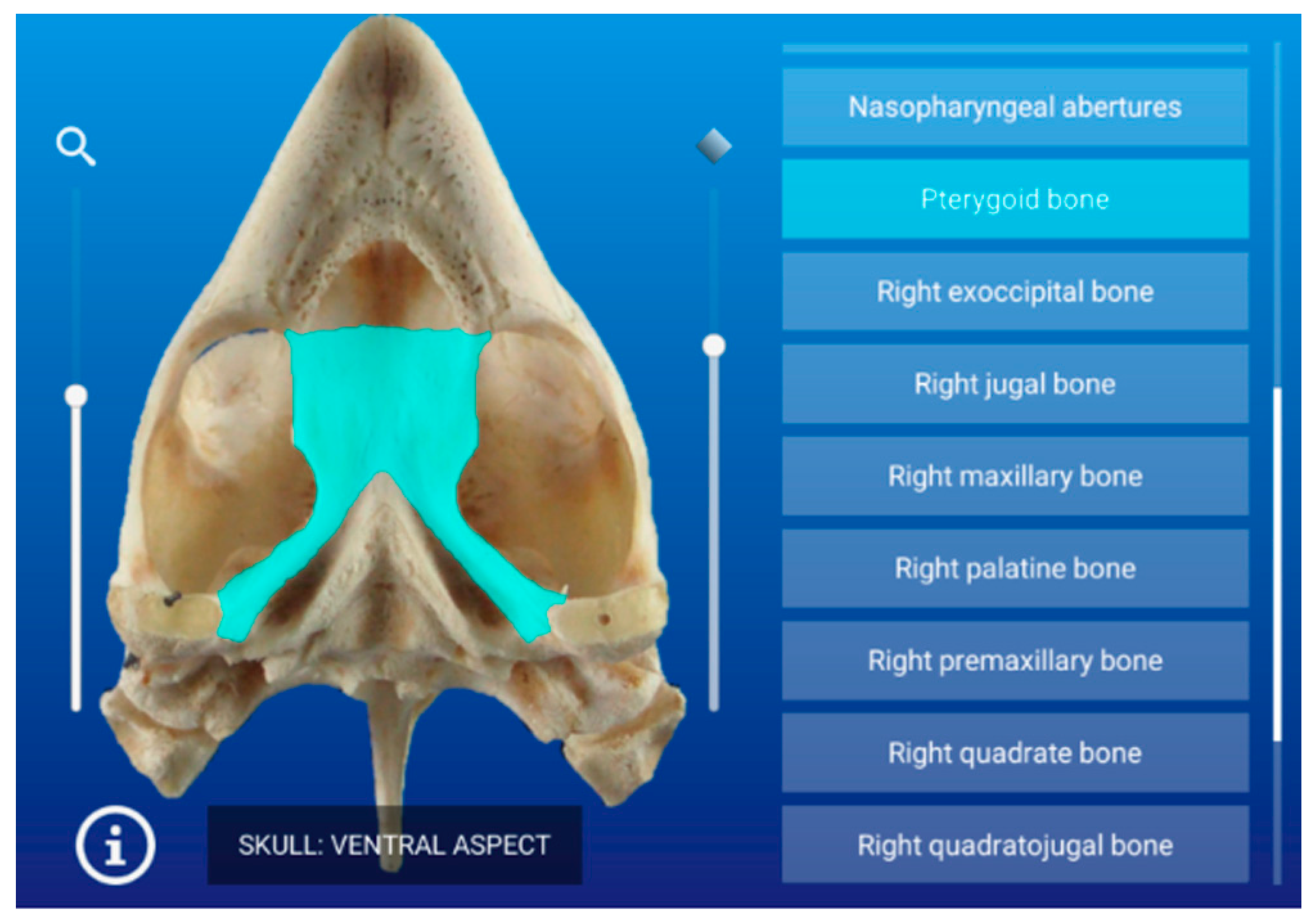 Animals 11 00198 g003