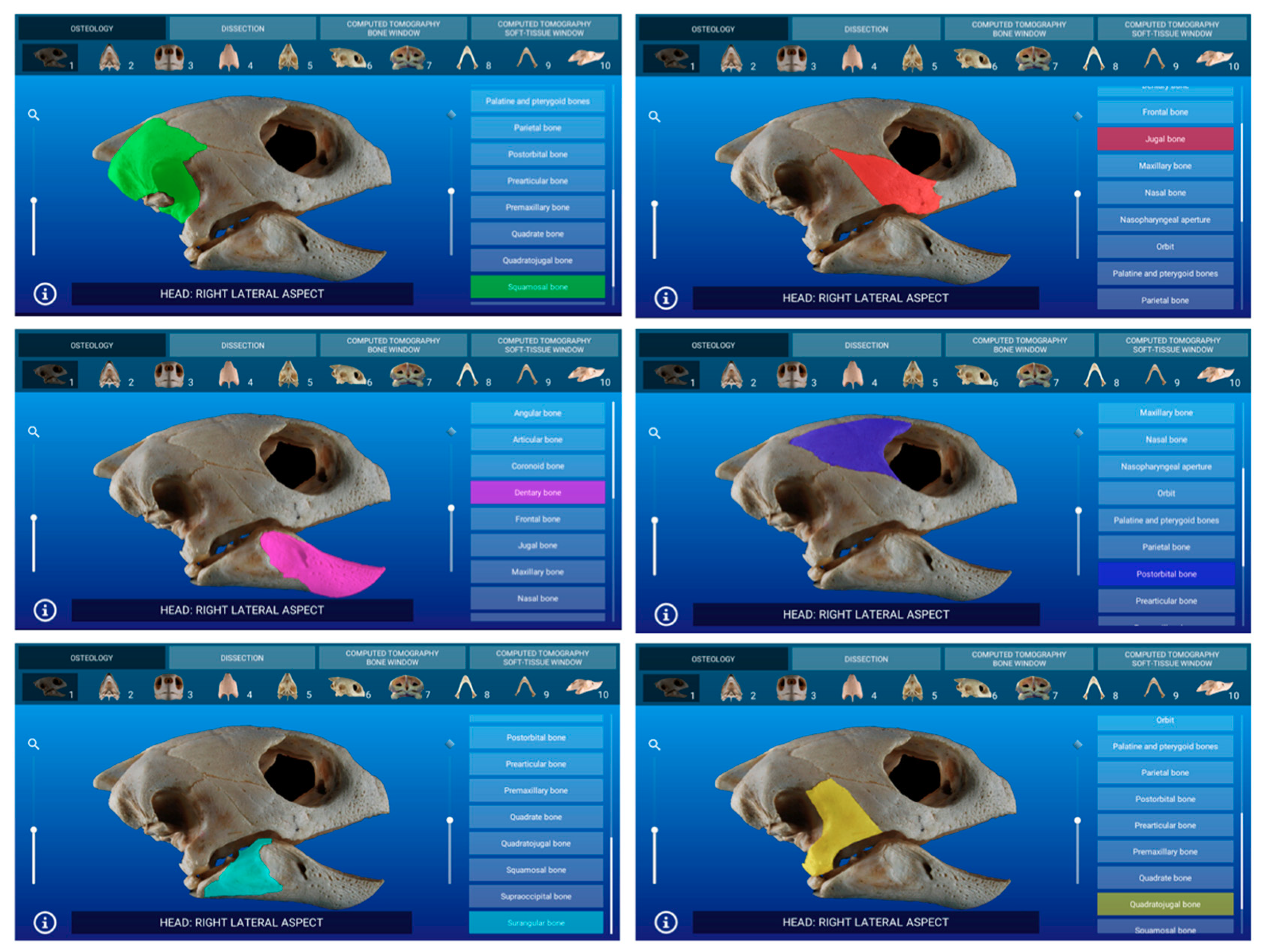 Animals 11 00198 g005