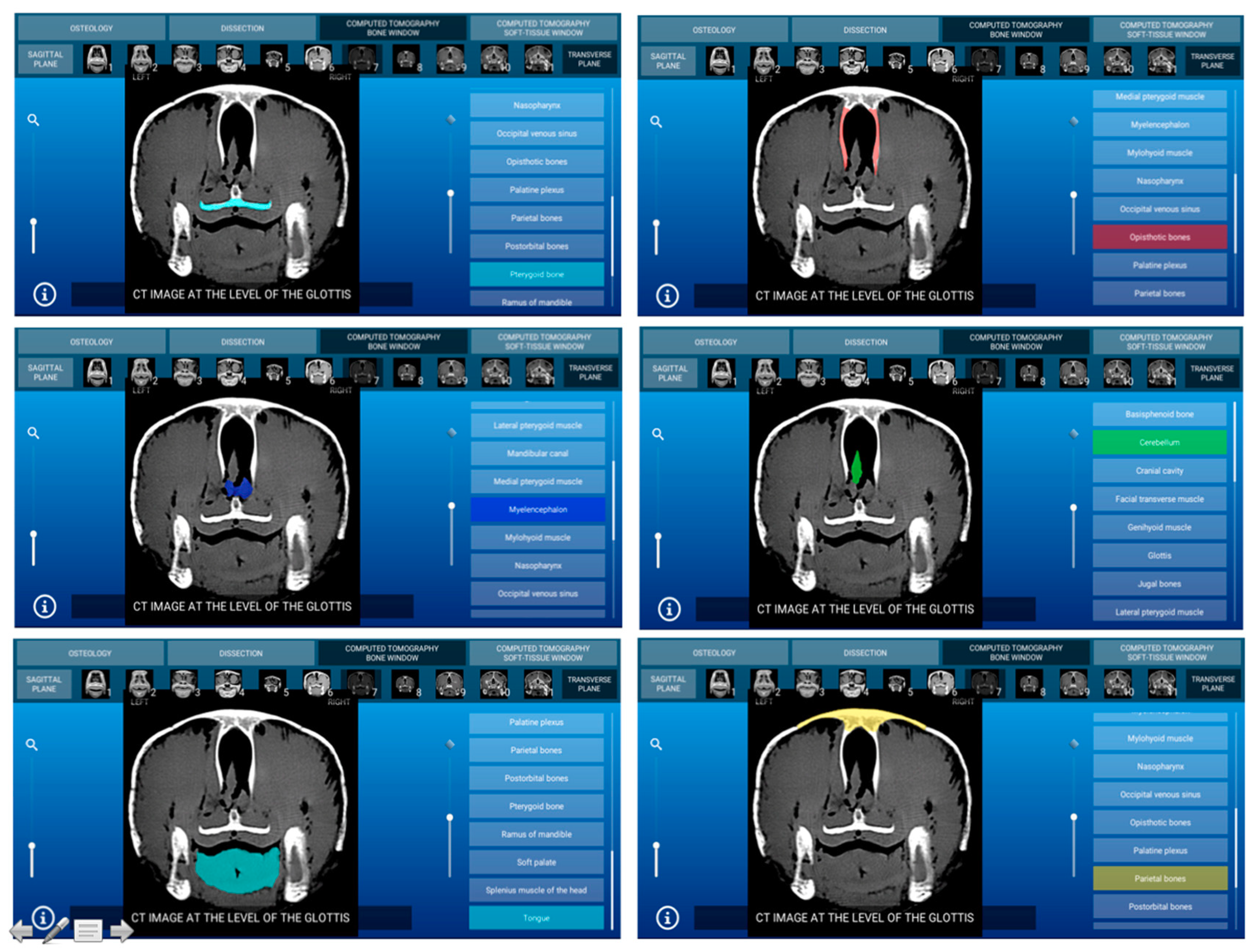 Animals 11 00198 g008