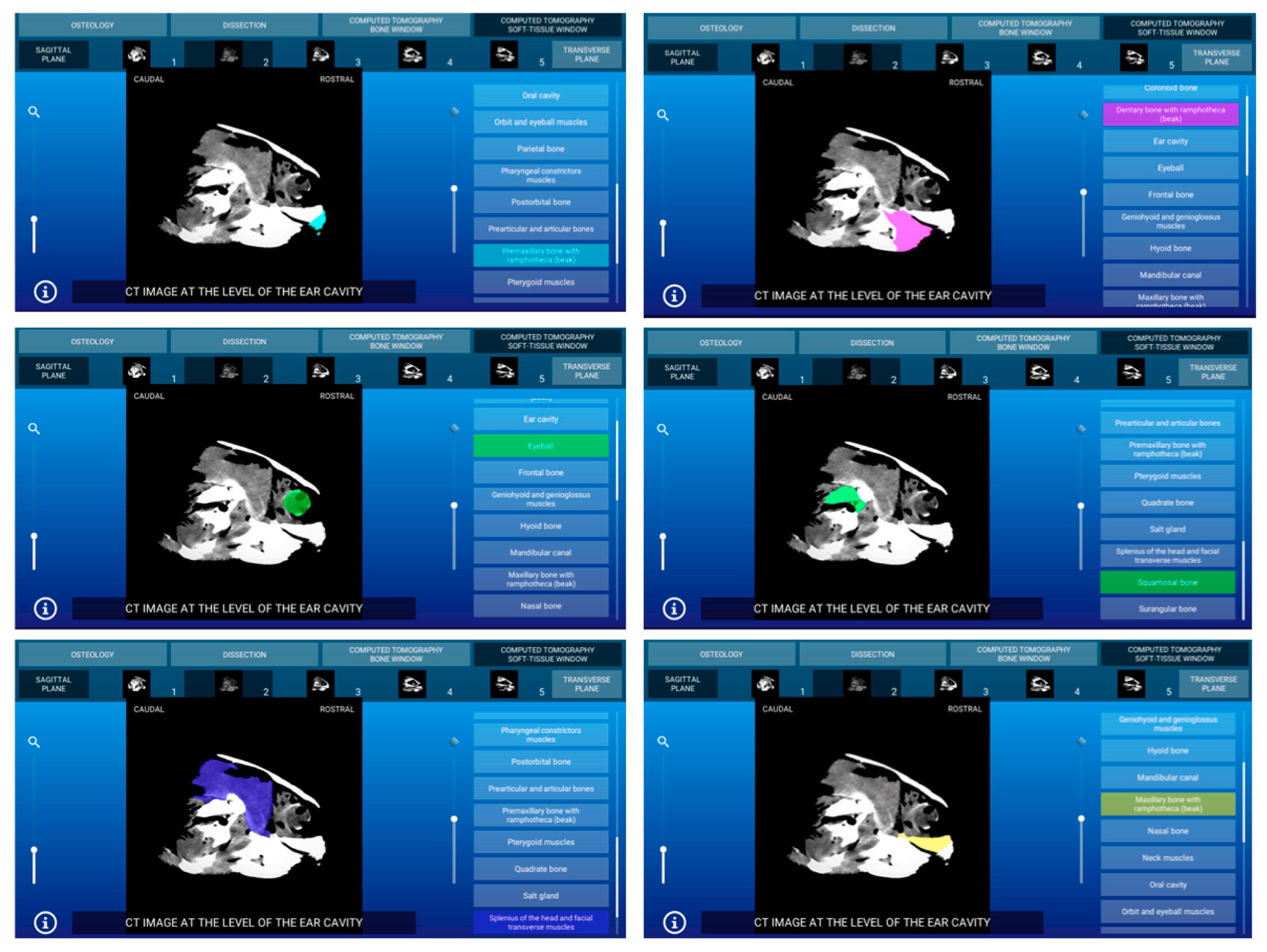 Animals 11 00198 g009