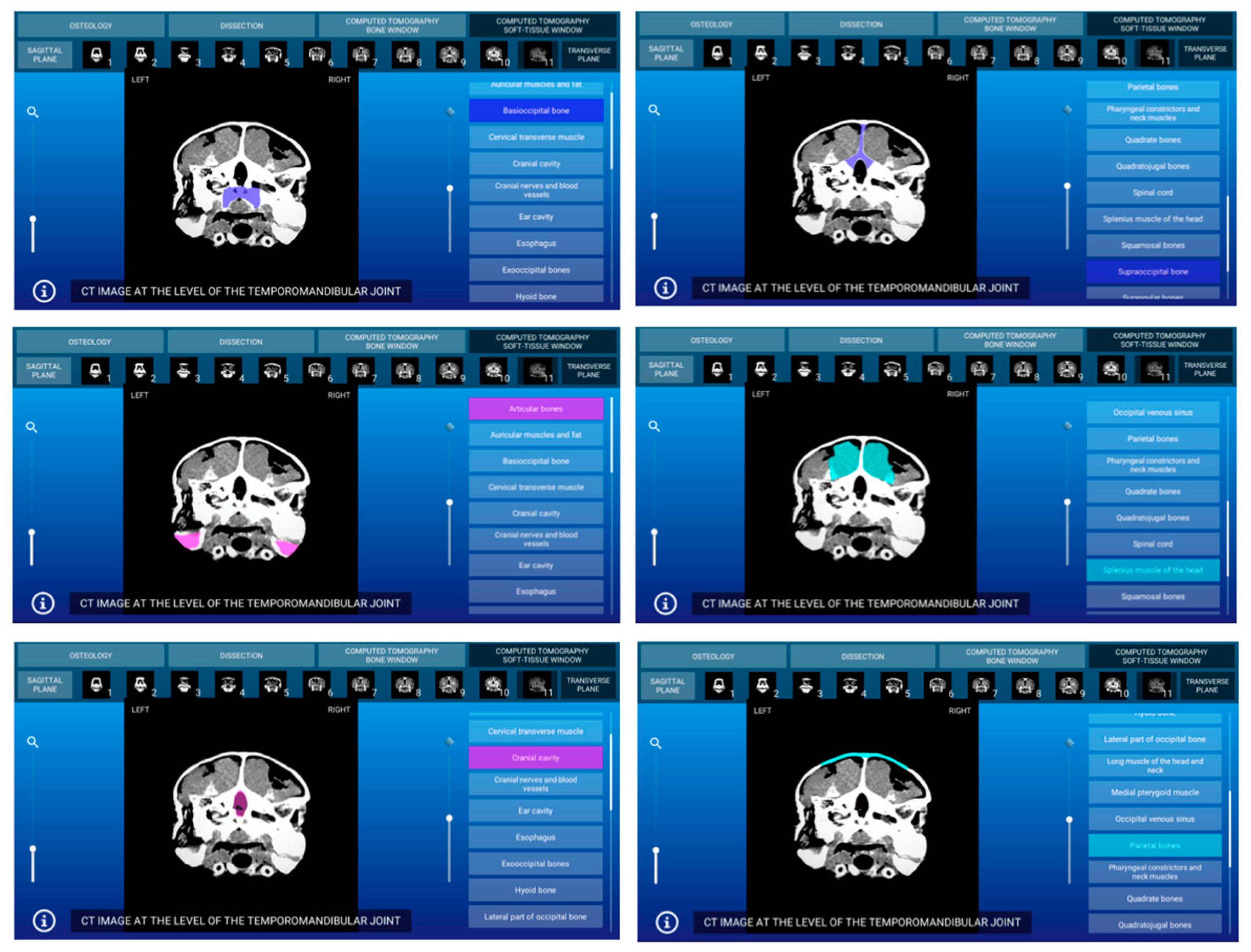 Animals 11 00198 g010