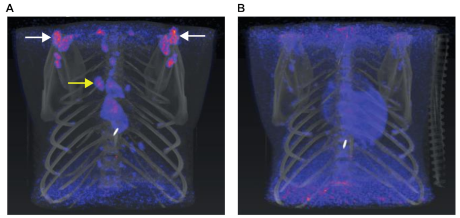 Animals 11 00204 g003
