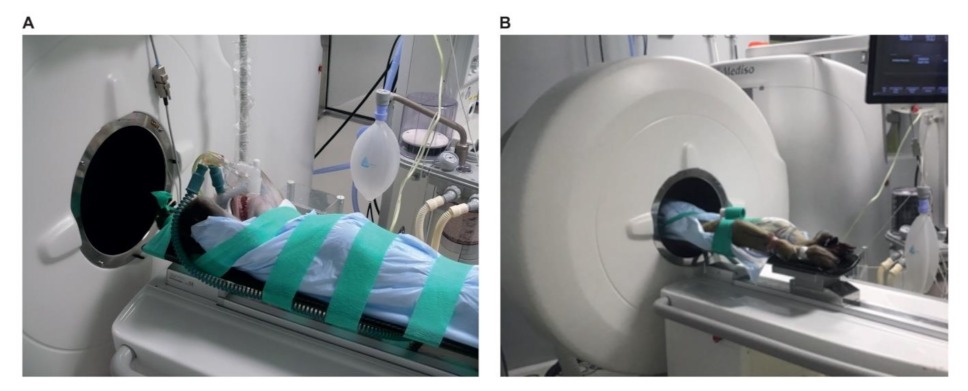 Animals 11 00204 g004