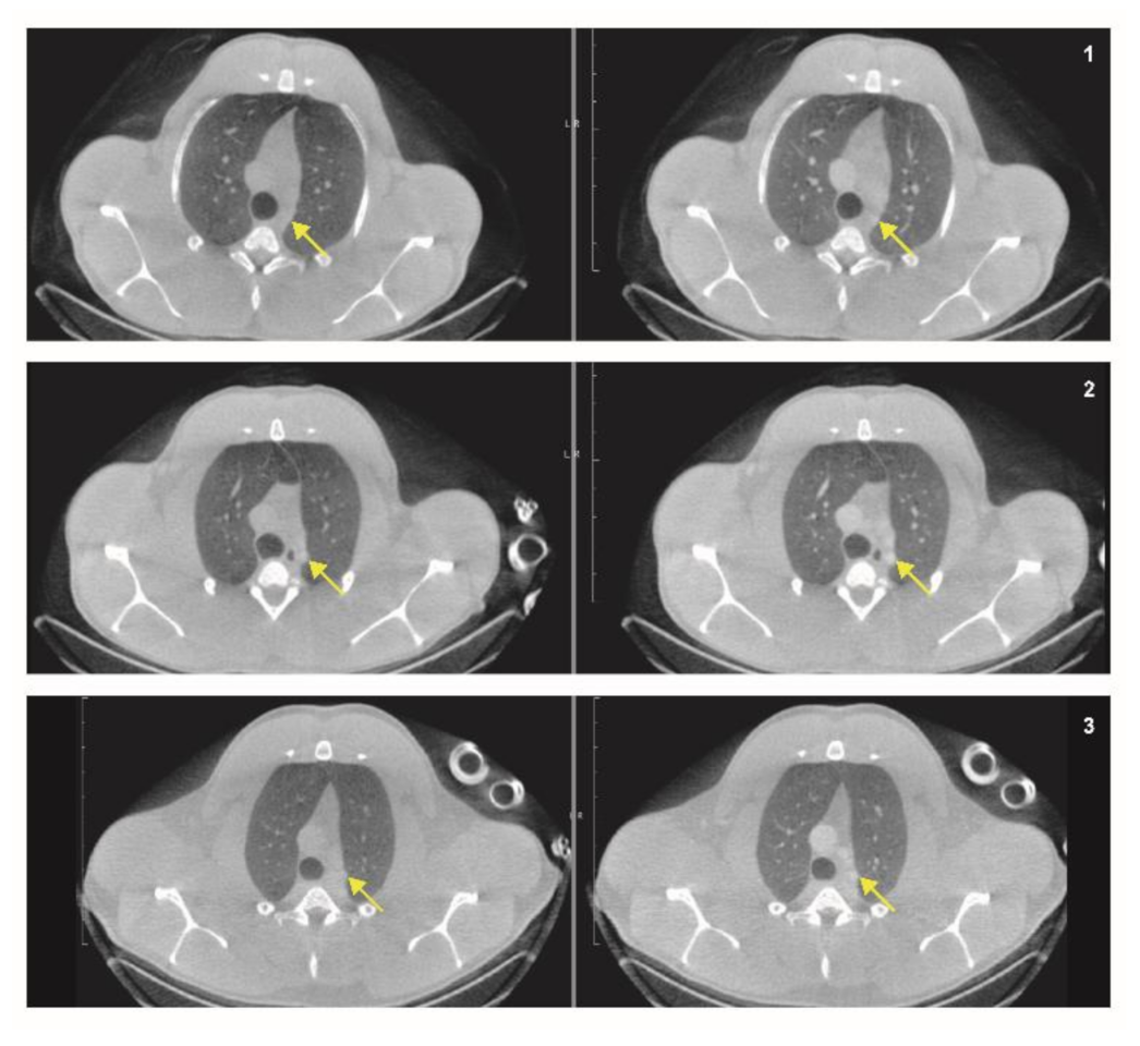 Animals 11 00204 g005