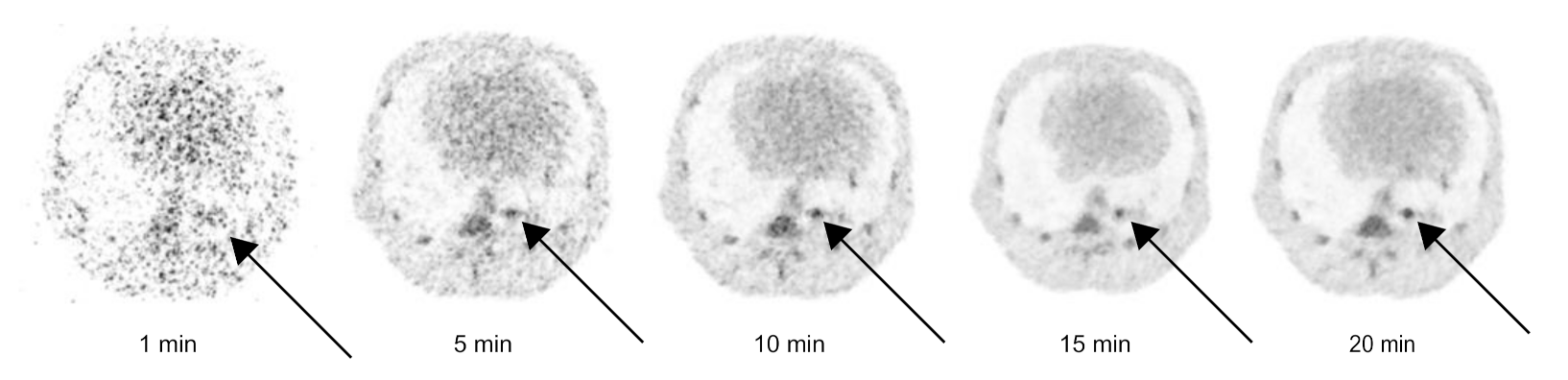 Animals 11 00204 g006