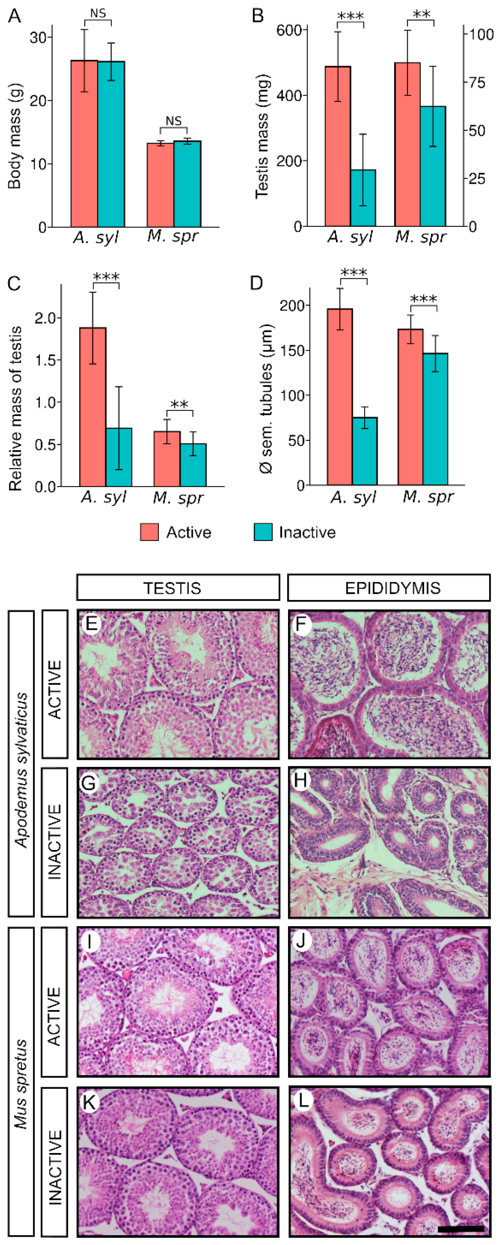 Animals 11 00243 g001
